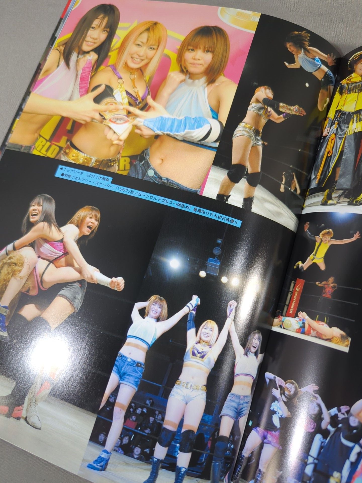 STARDOM OFFICIAL GUIDE BOOK Vol.10