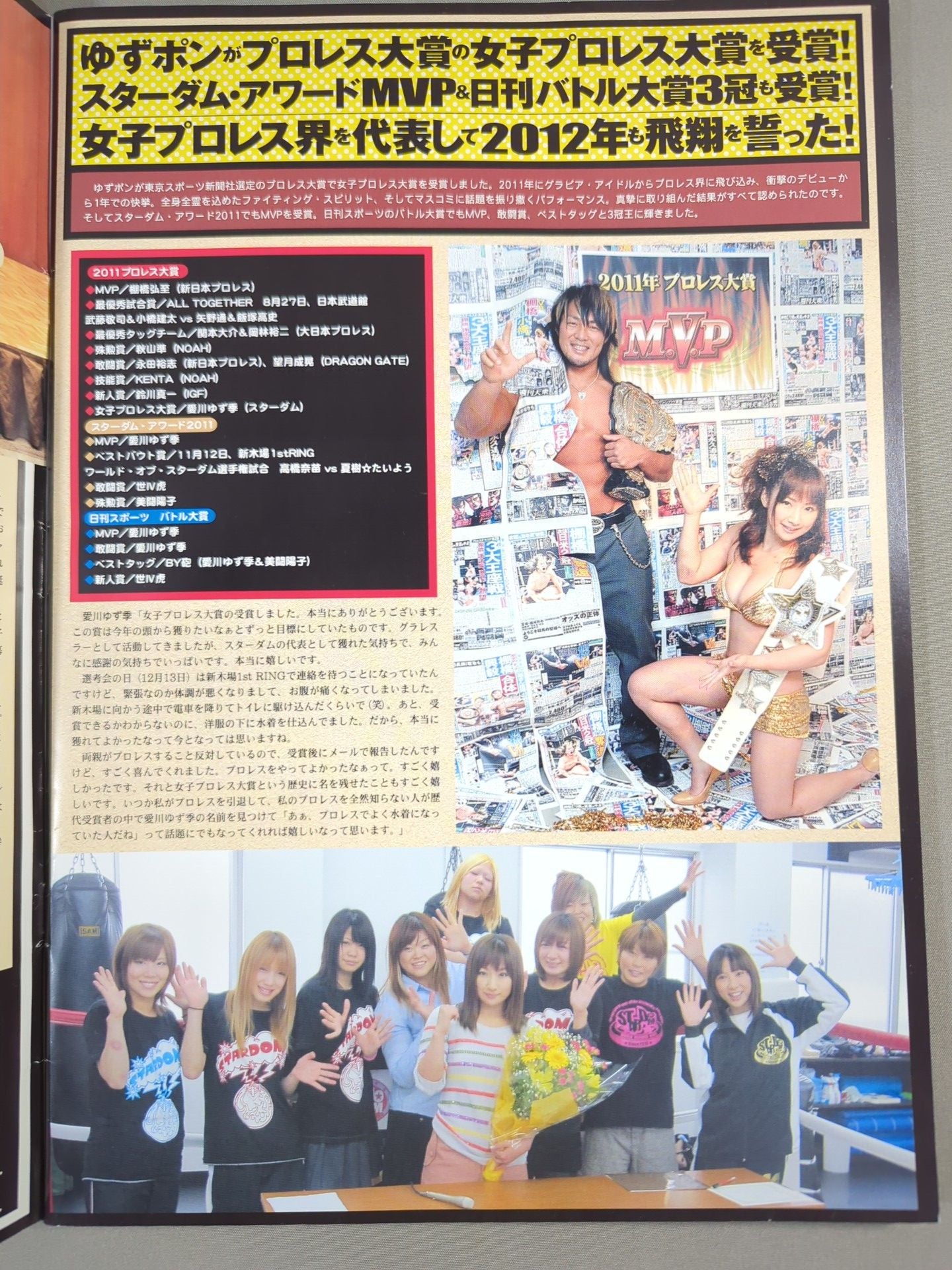 STARDOM OFFICIAL GUIDE BOOK Vol.9