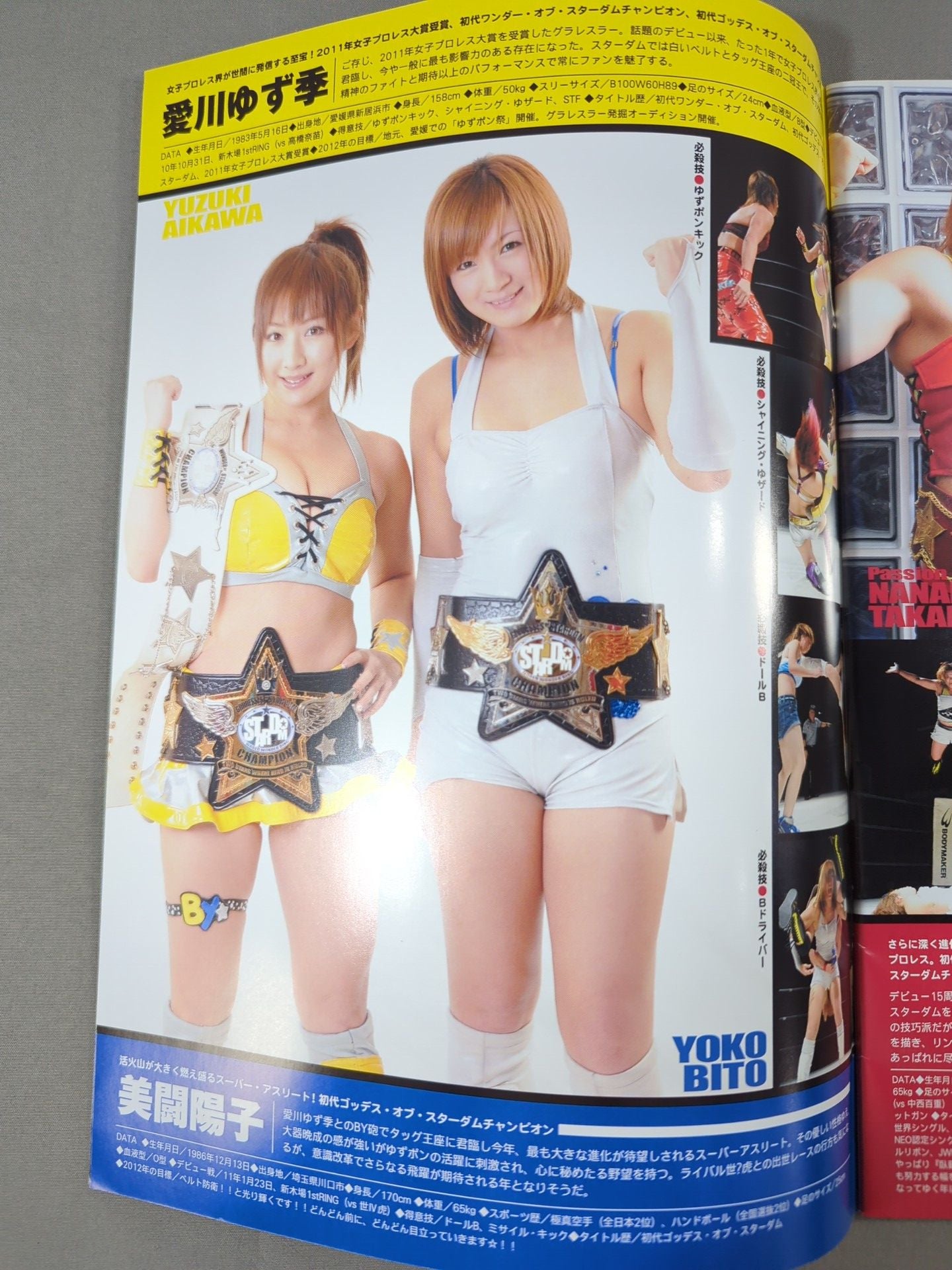 STARDOM OFFICIAL GUIDE BOOK Vol.9