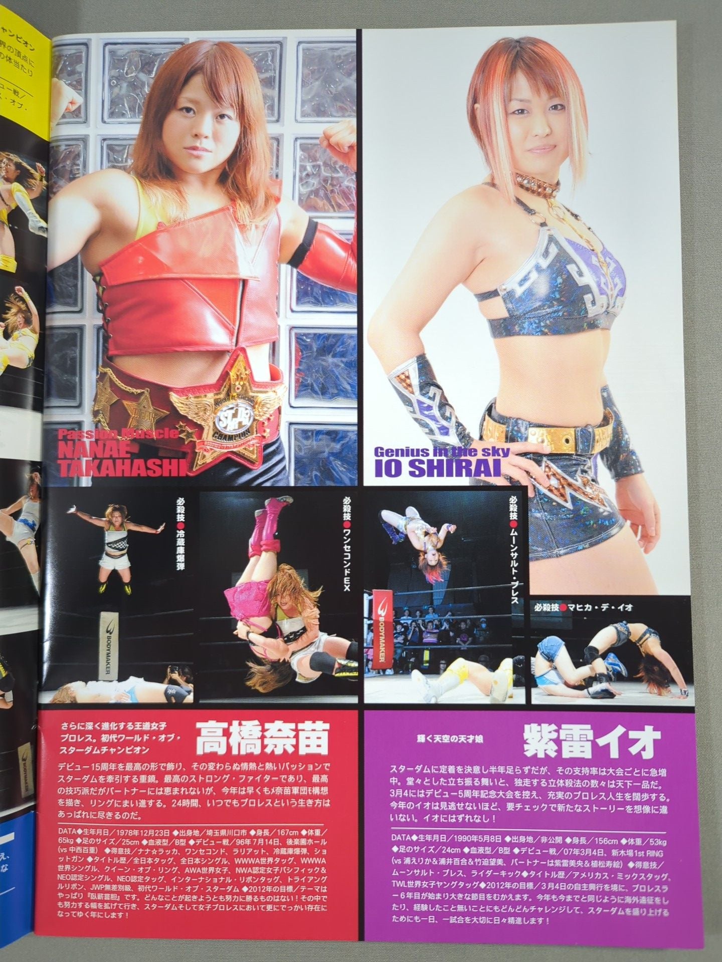 STARDOM OFFICIAL GUIDE BOOK Vol.9