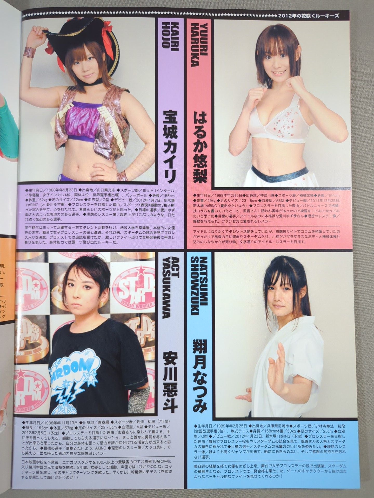 STARDOM OFFICIAL GUIDE BOOK Vol.9