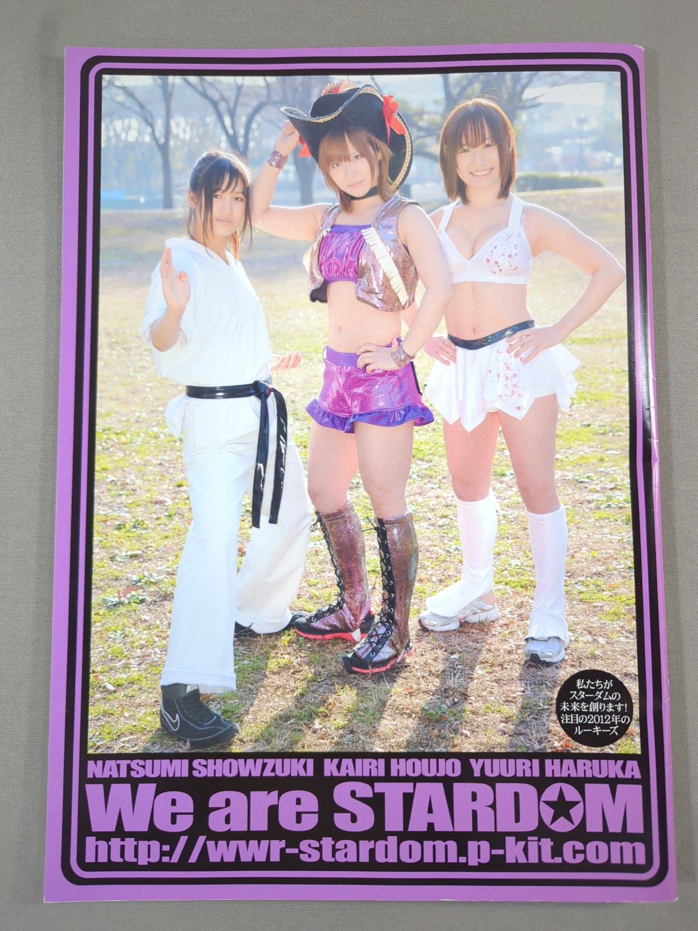 STARDOM OFFICIAL GUIDE BOOK Vol.9