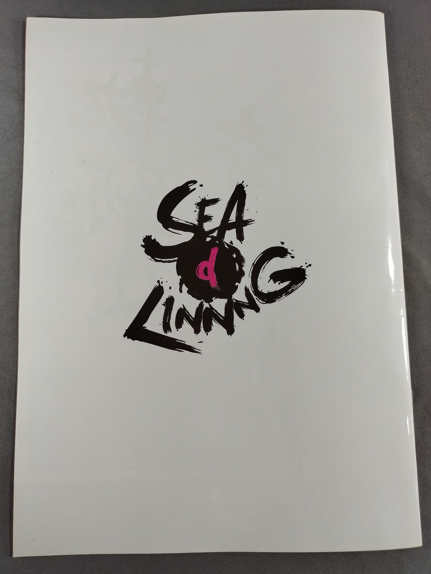 SEAdLINNNG / Official guidebook Vol.3