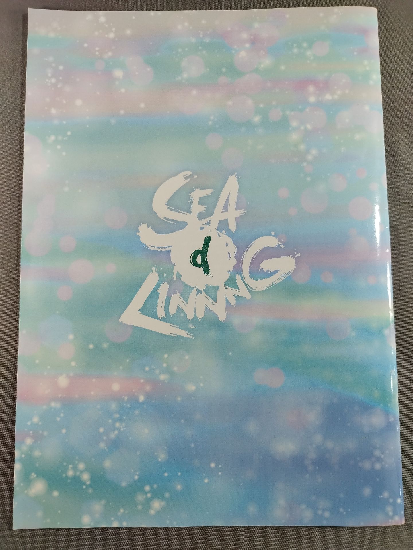 SEAdLINNNG / Official guidebook Vol.6