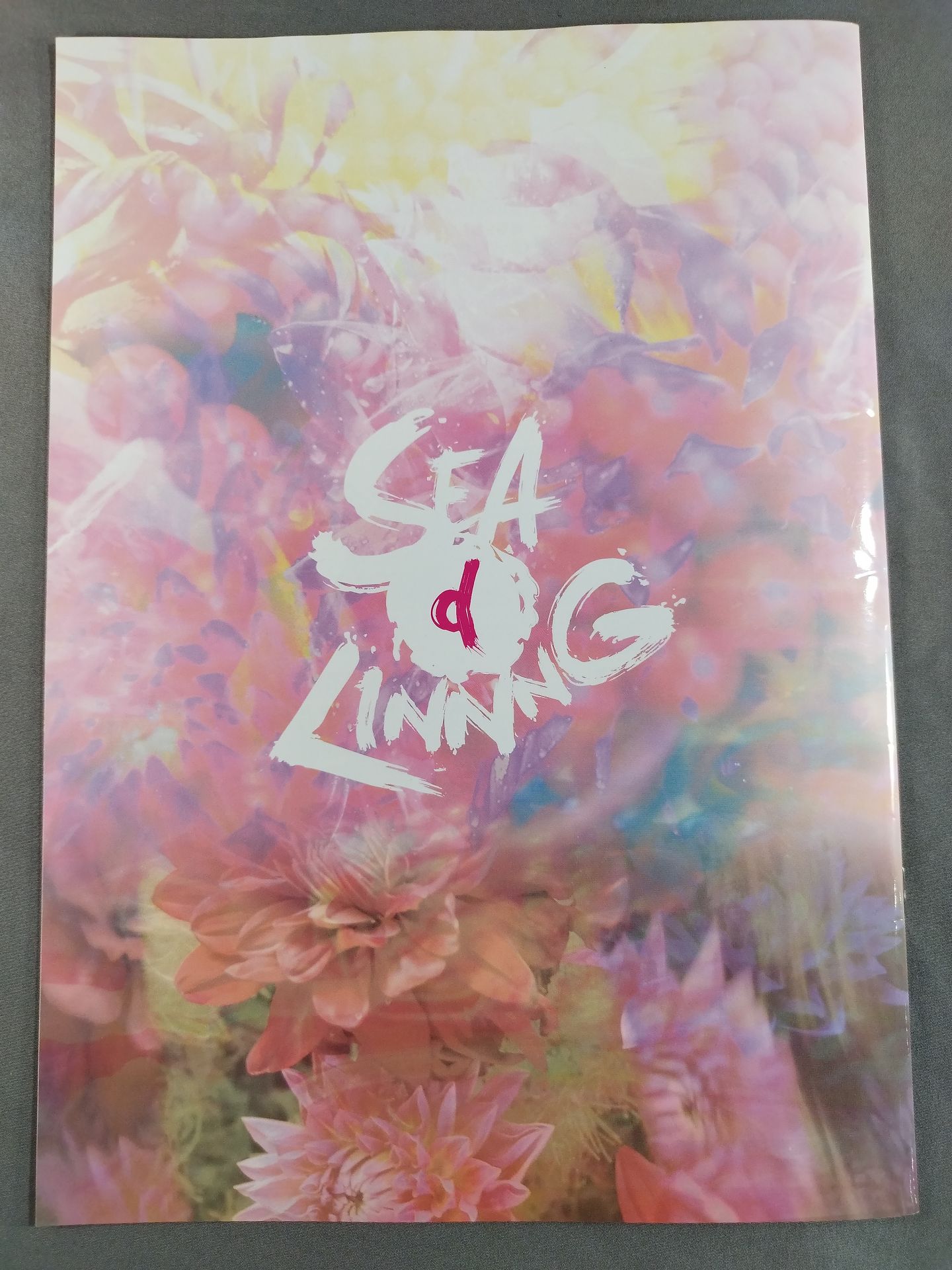 SEAdLINNNG / Official guidebook Vol.5