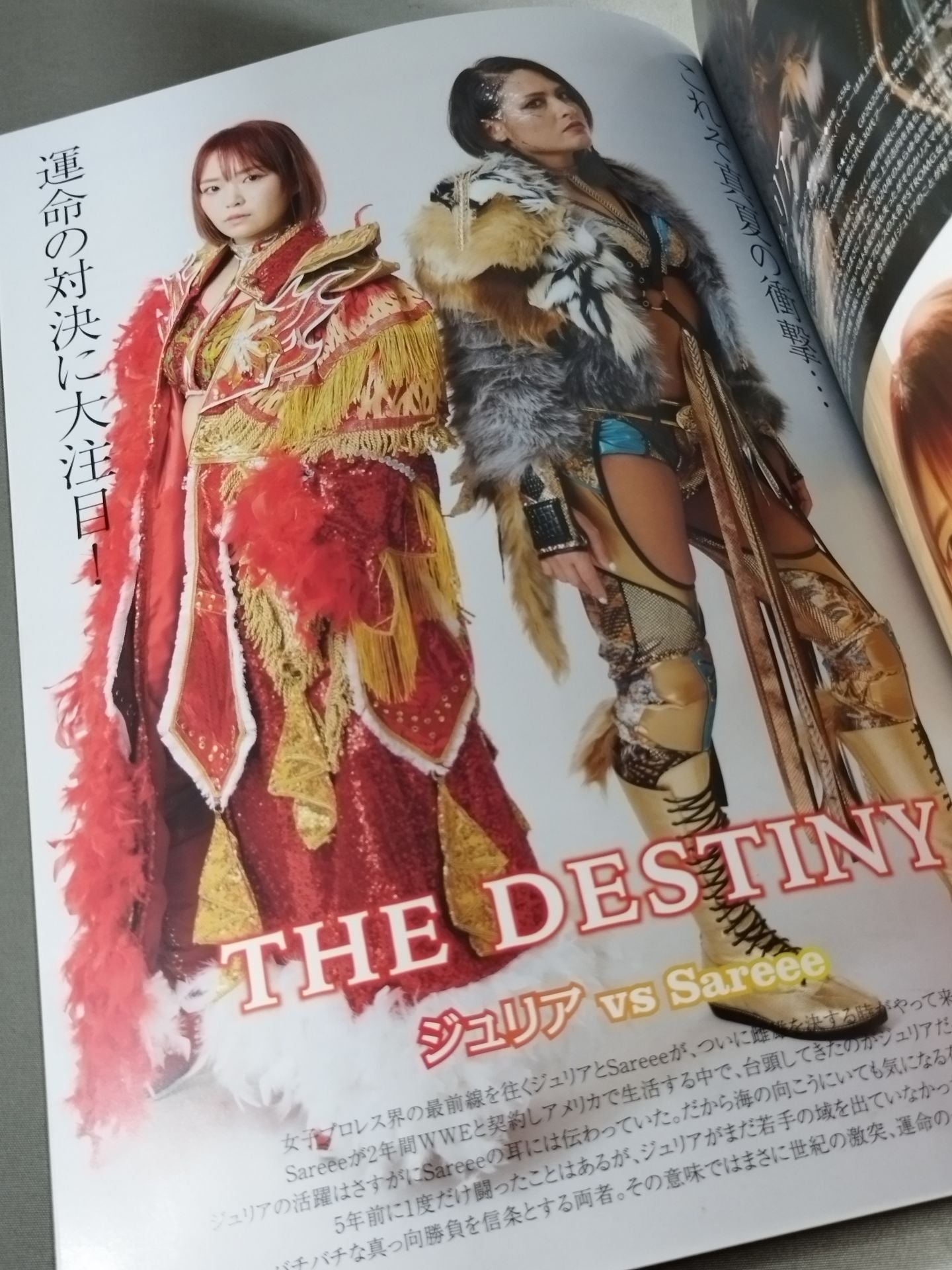 MARIGOLD / MARIGOLD SUMMER DESTINY 2024