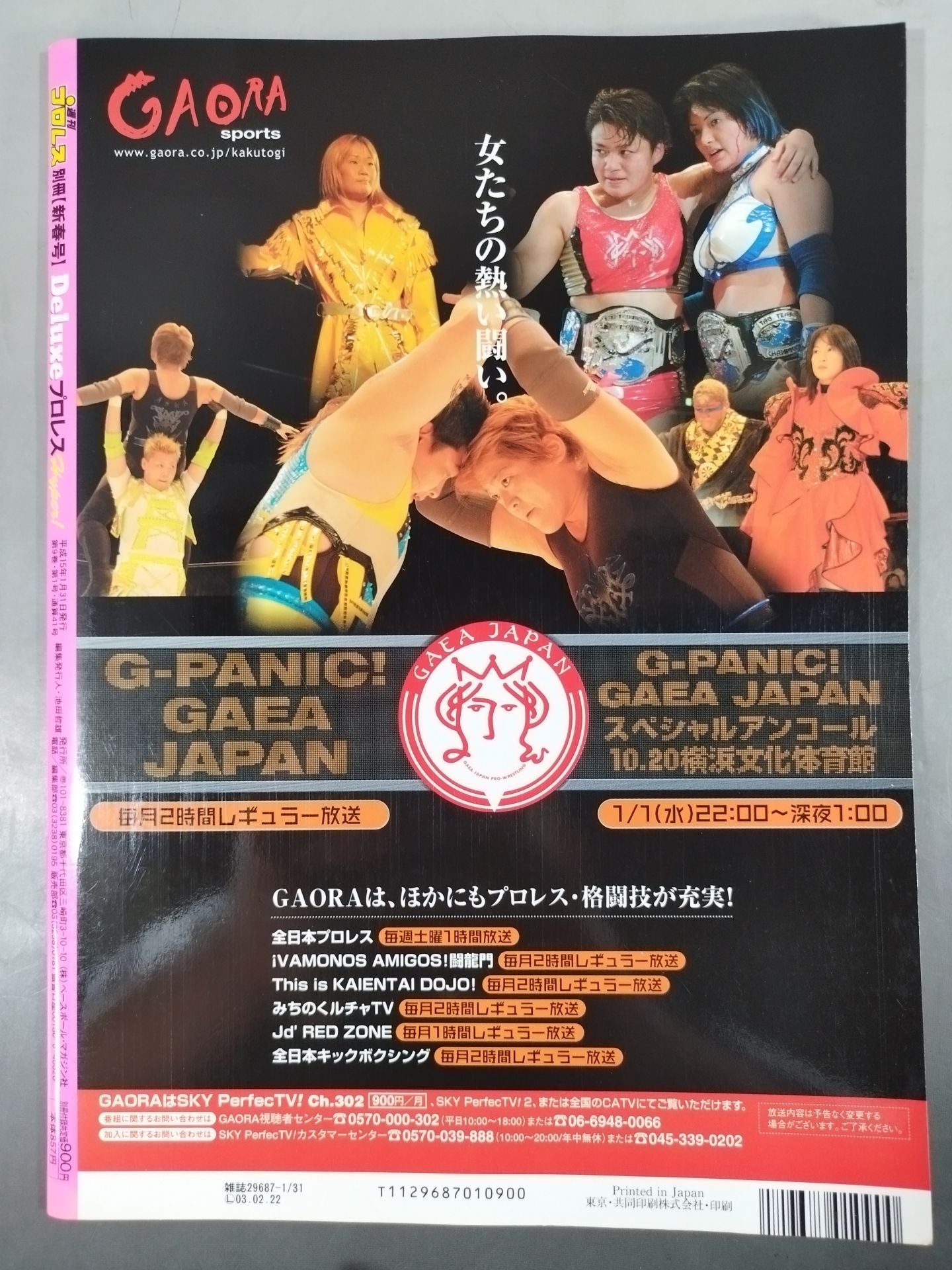 デラックスプロレス41 週刊プロレス別冊【新春号】