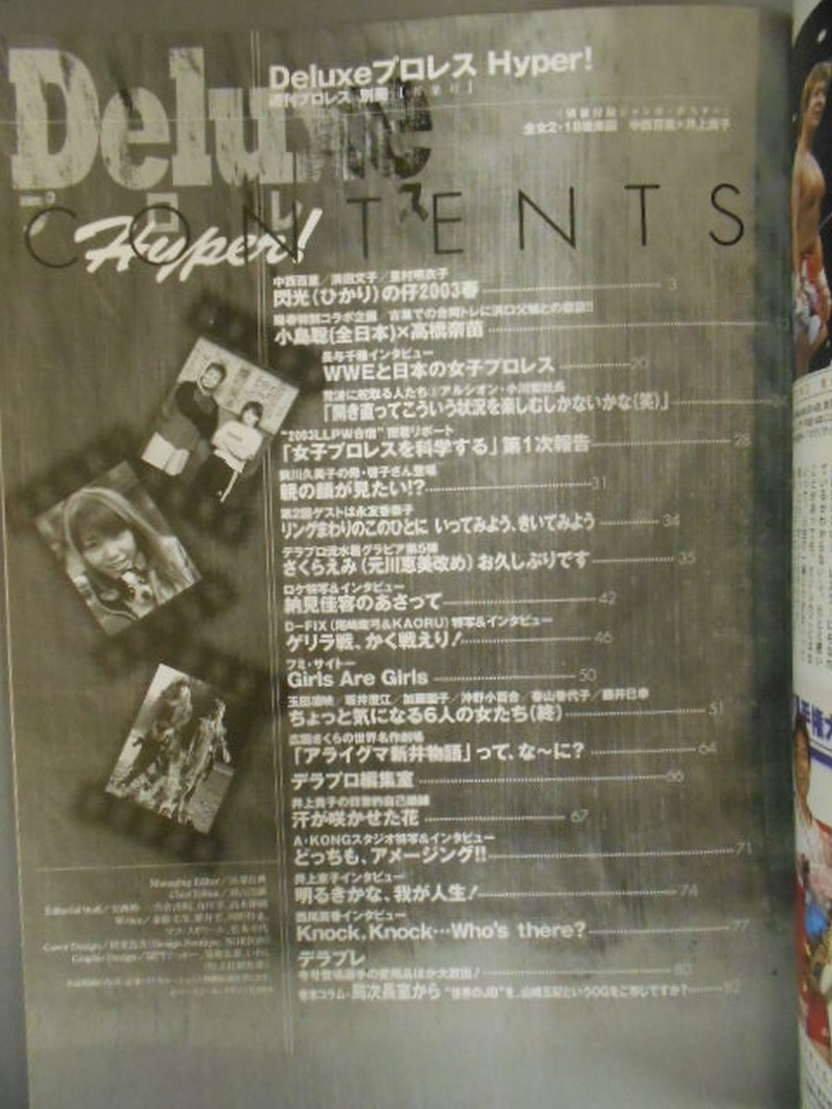 デラックスプロレス43 週刊プロレス別冊【若葉号】