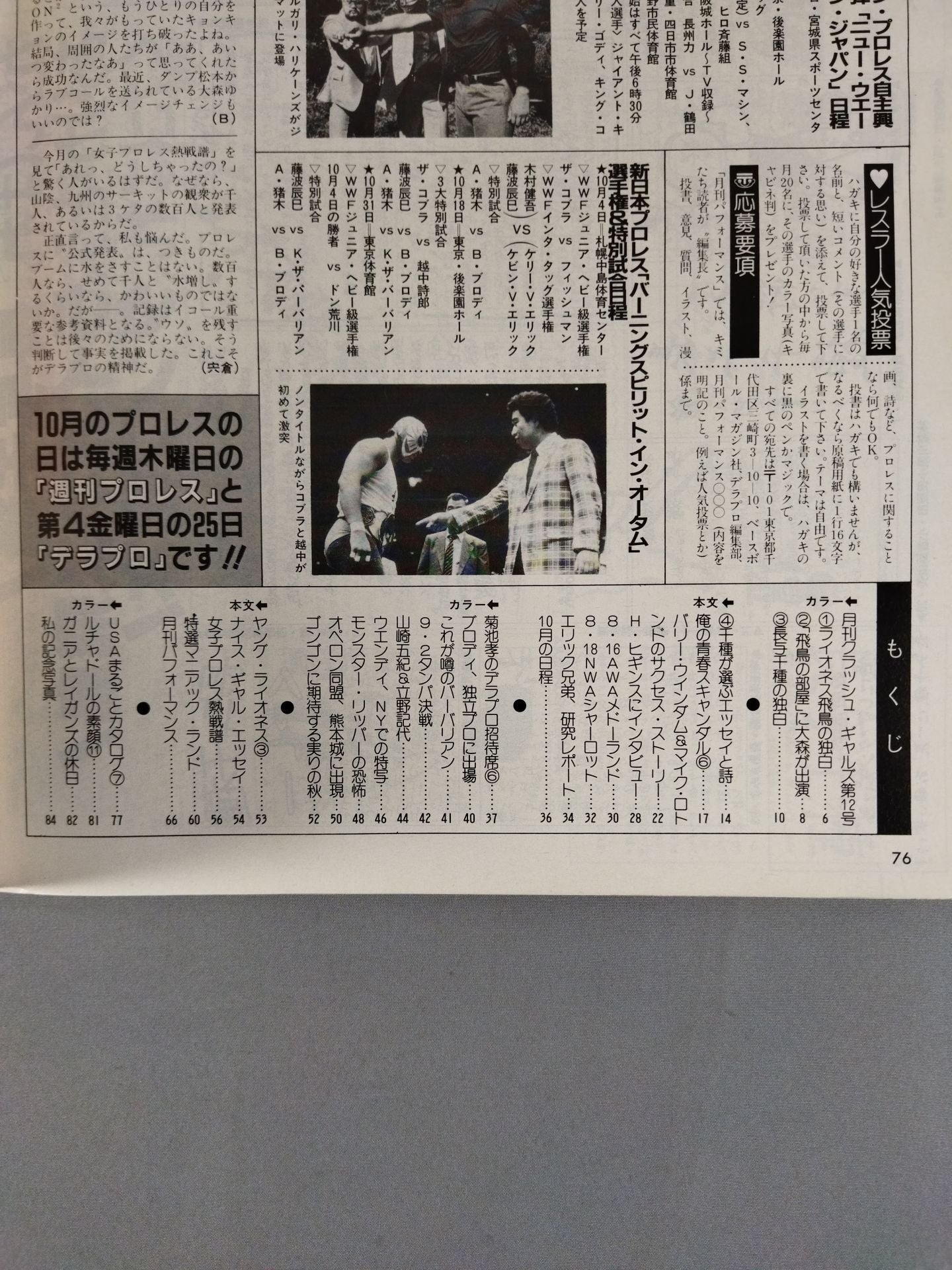 Deluxe Pro Wrestling November 1985