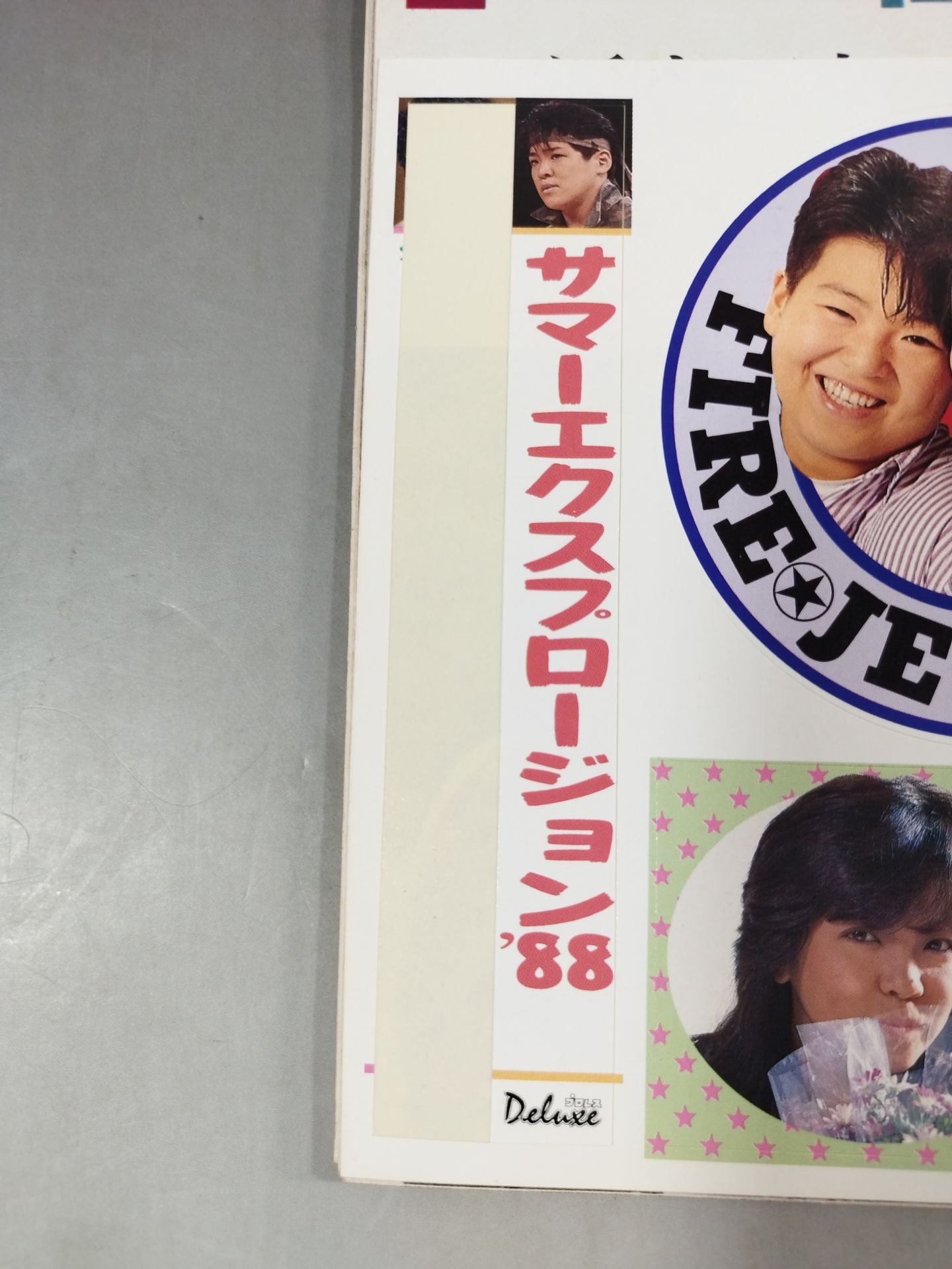 デラックスプロレス 1988年8月号