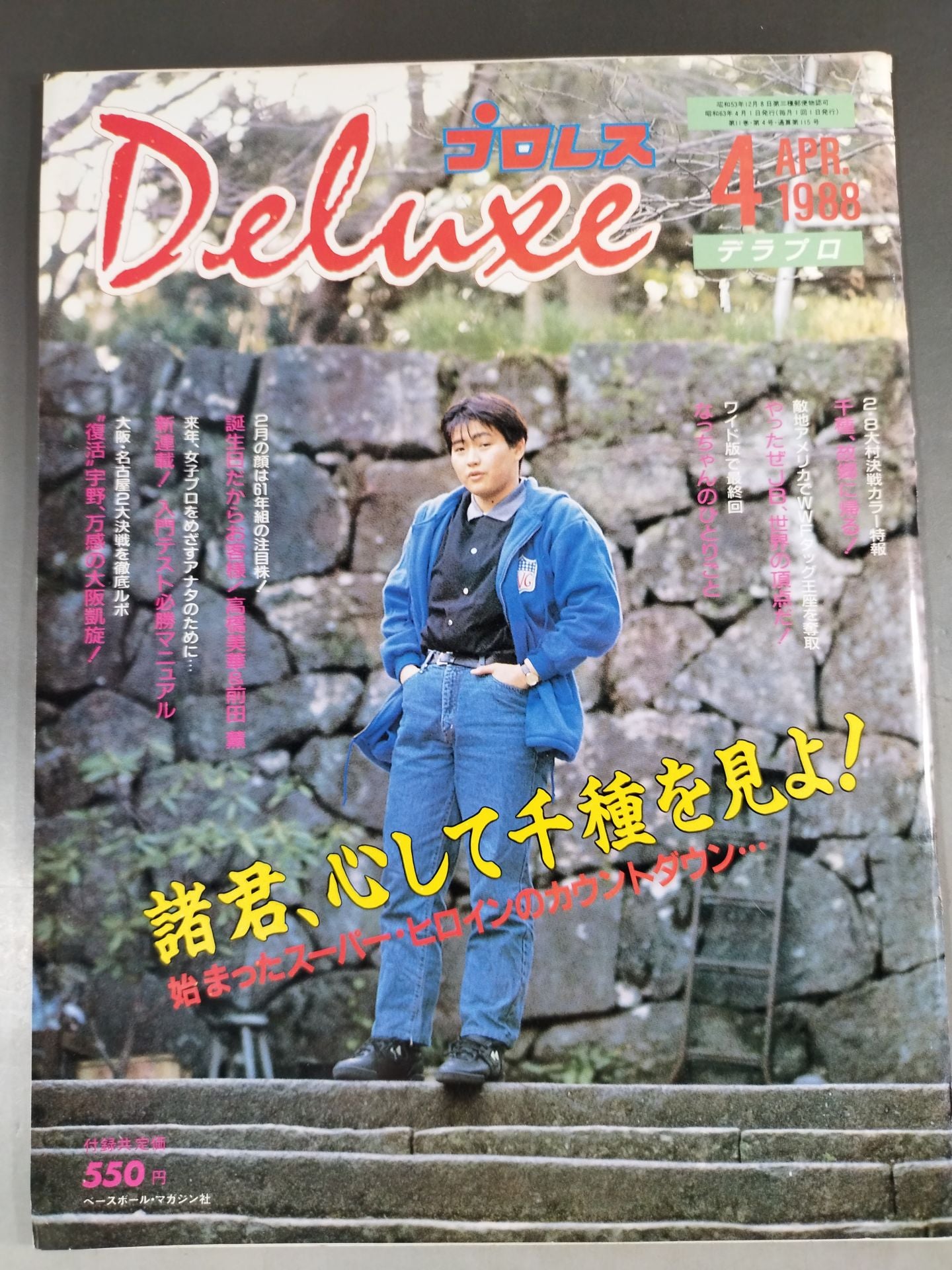 デラックスプロレス 1988年4月号
