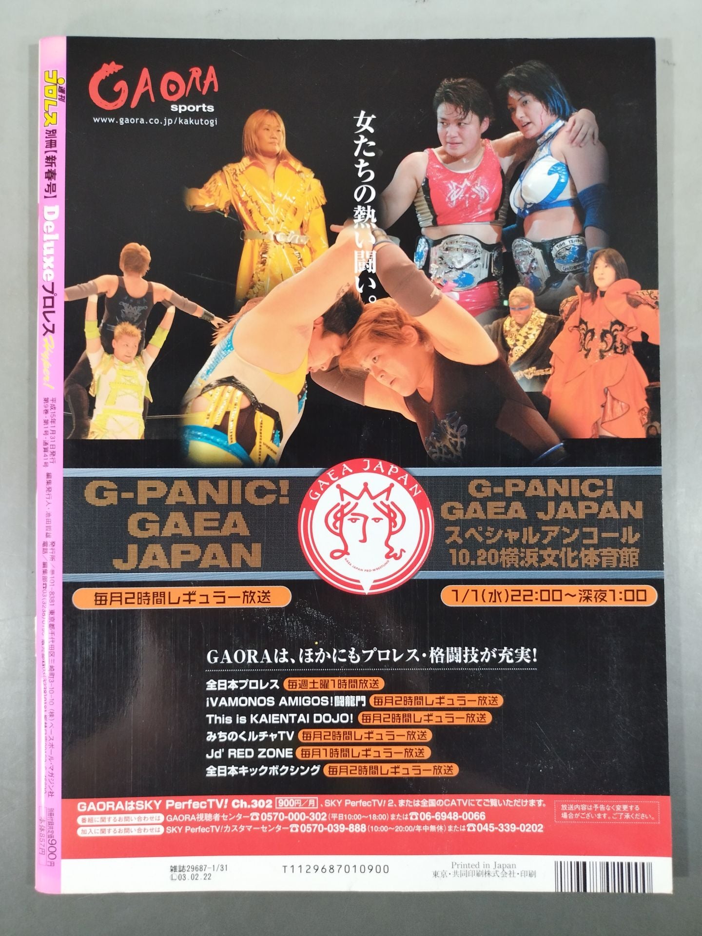 デラックスプロレス41 週刊プロレス別冊【新春号】