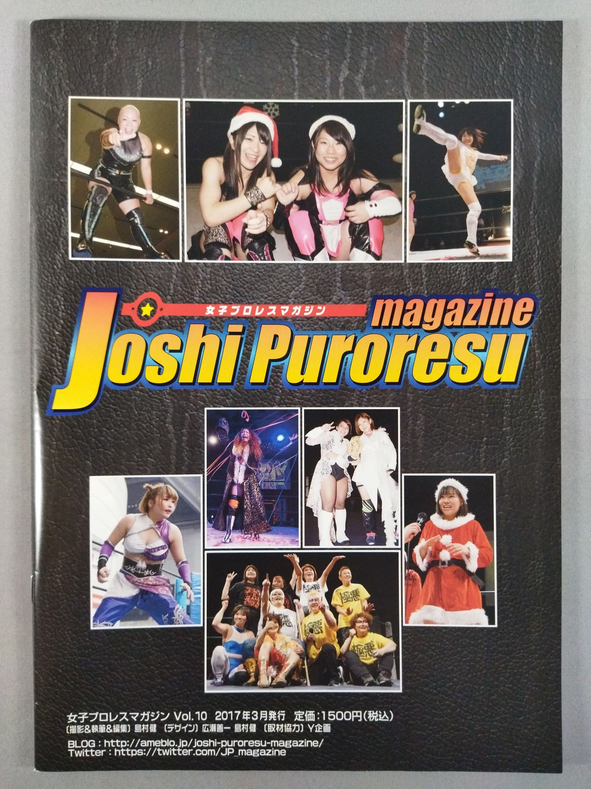女子プロレスマガジン Vol.10