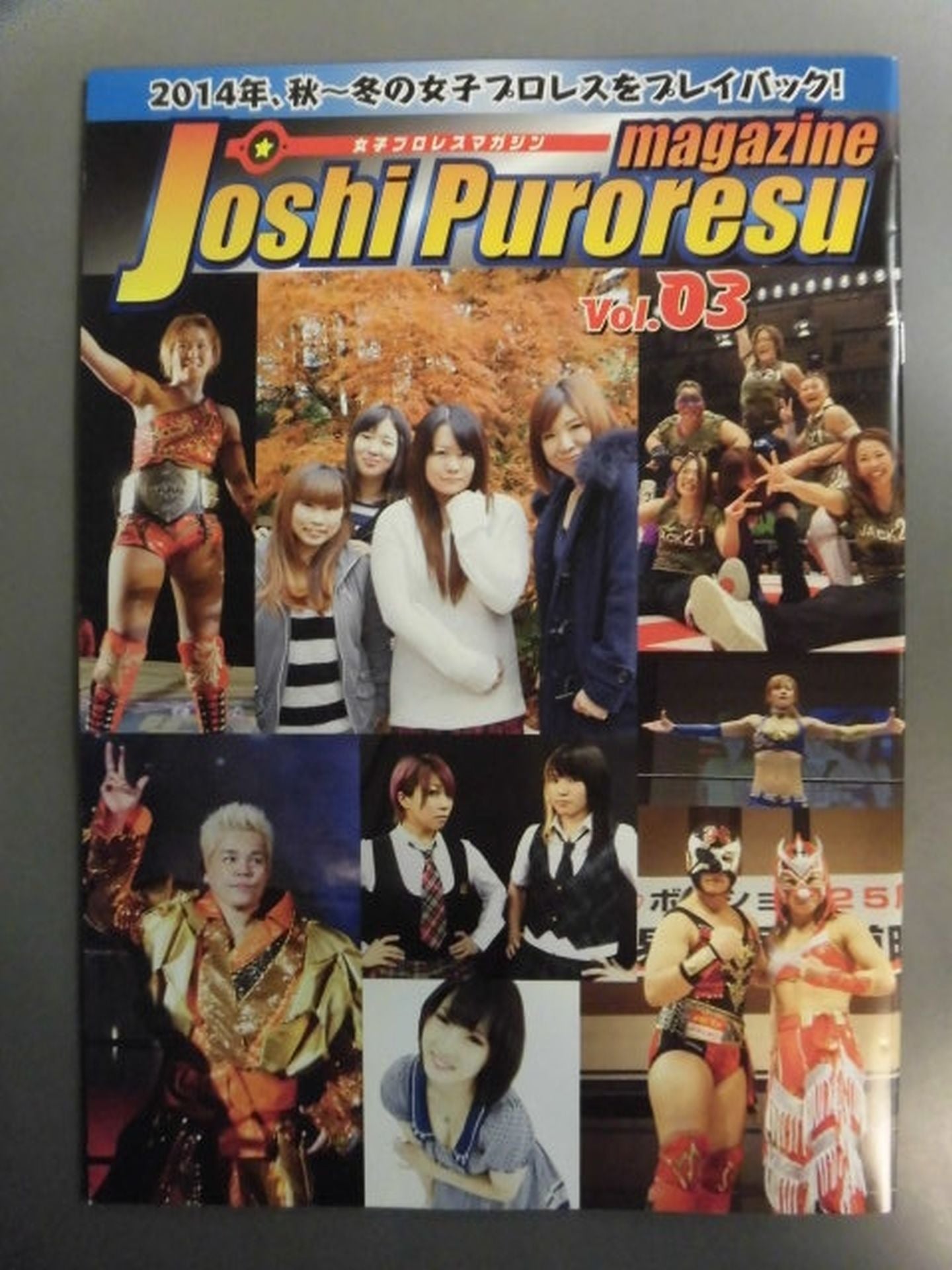 Women's Pro Wrestling Magazine Vol.3