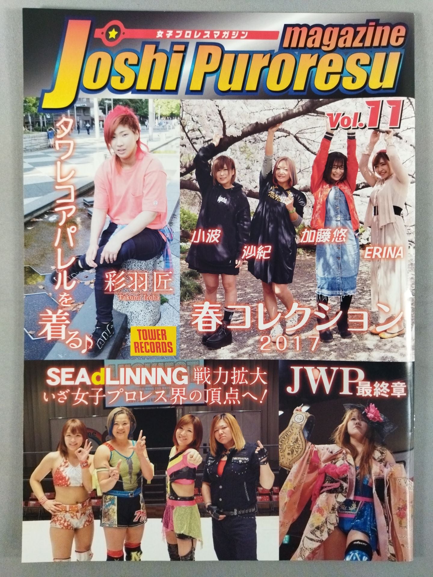 女子プロレスマガジン Vol.11