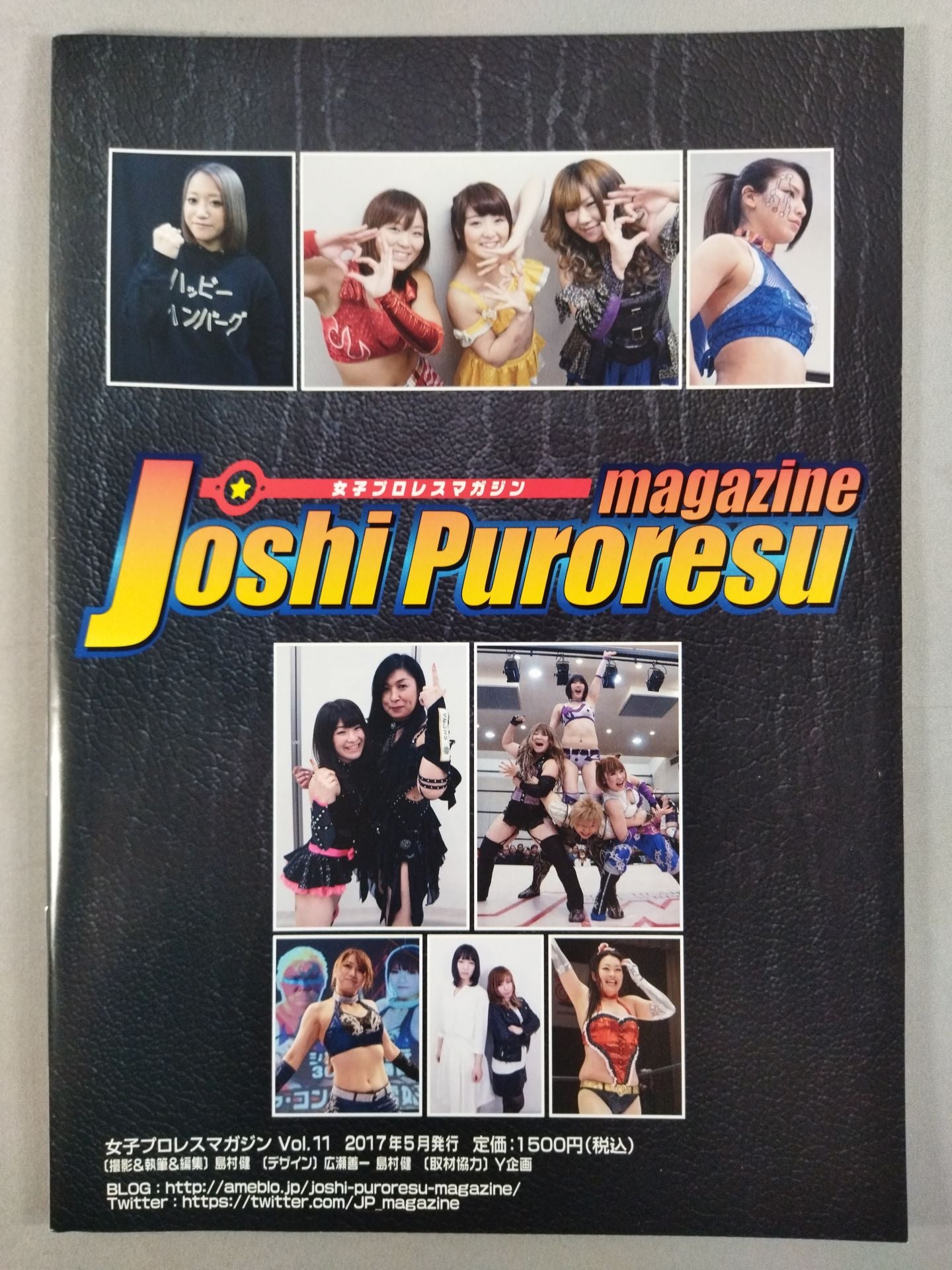 女子プロレスマガジン Vol.11