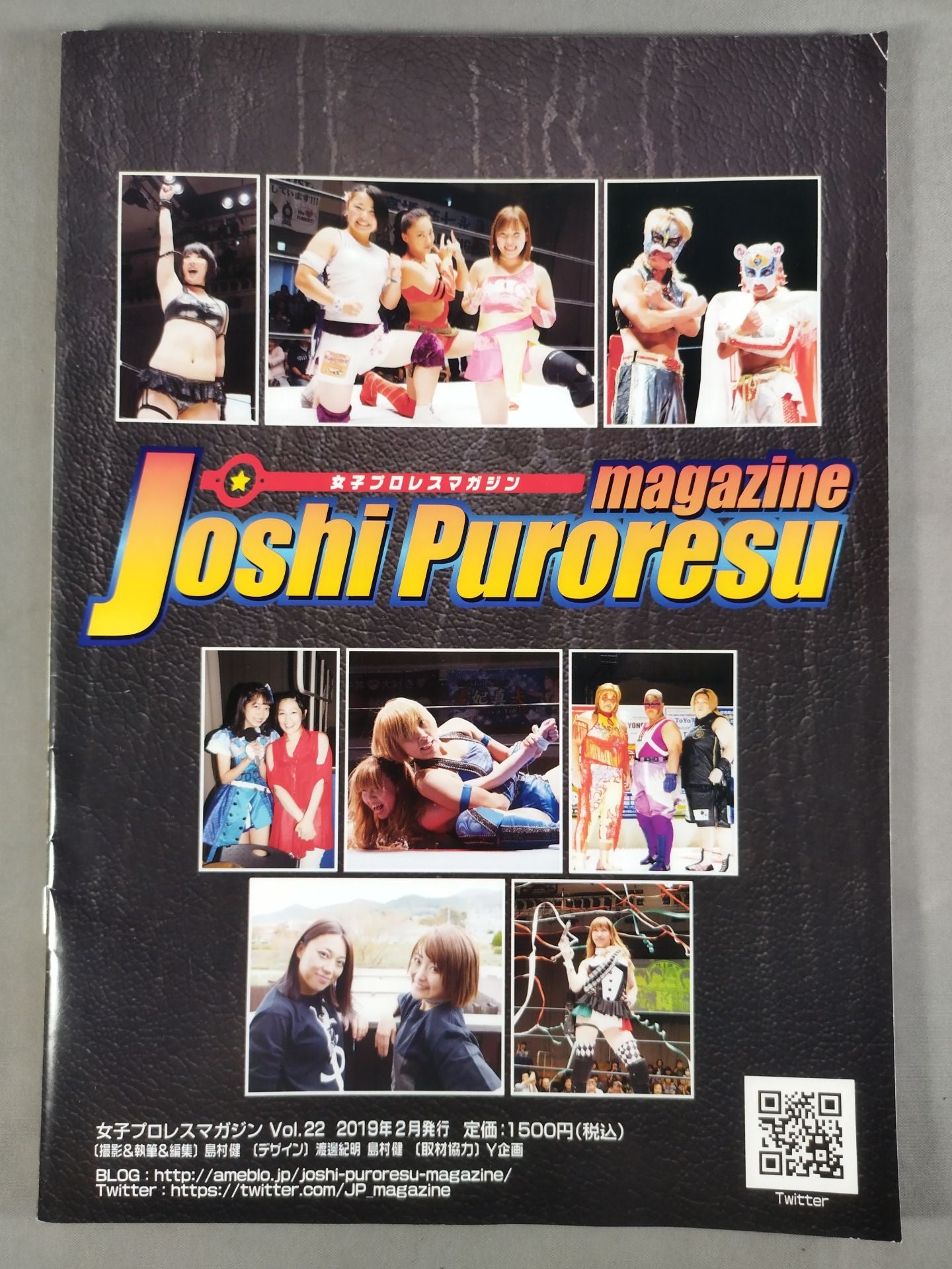 女子プロレスマガジン Vol.22