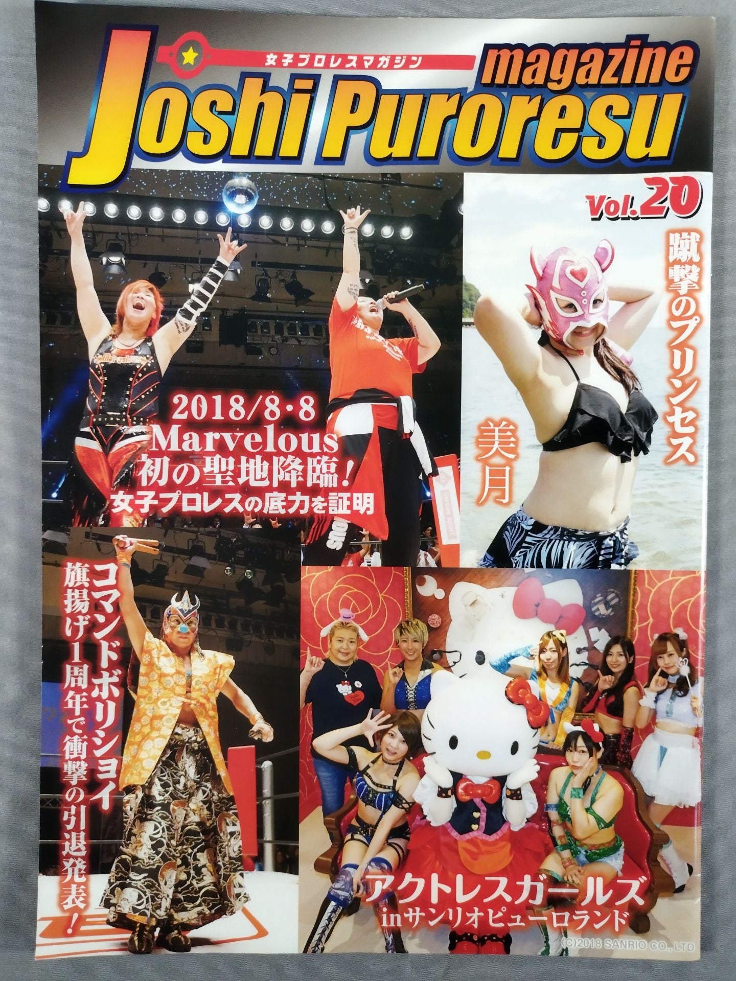女子プロレスマガジン Vol.20