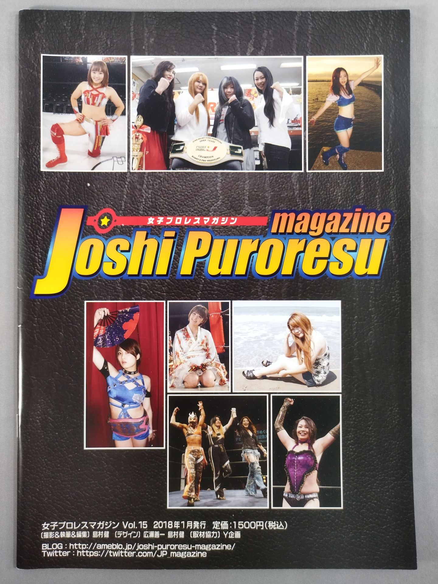 女子プロレスマガジン Vol.15