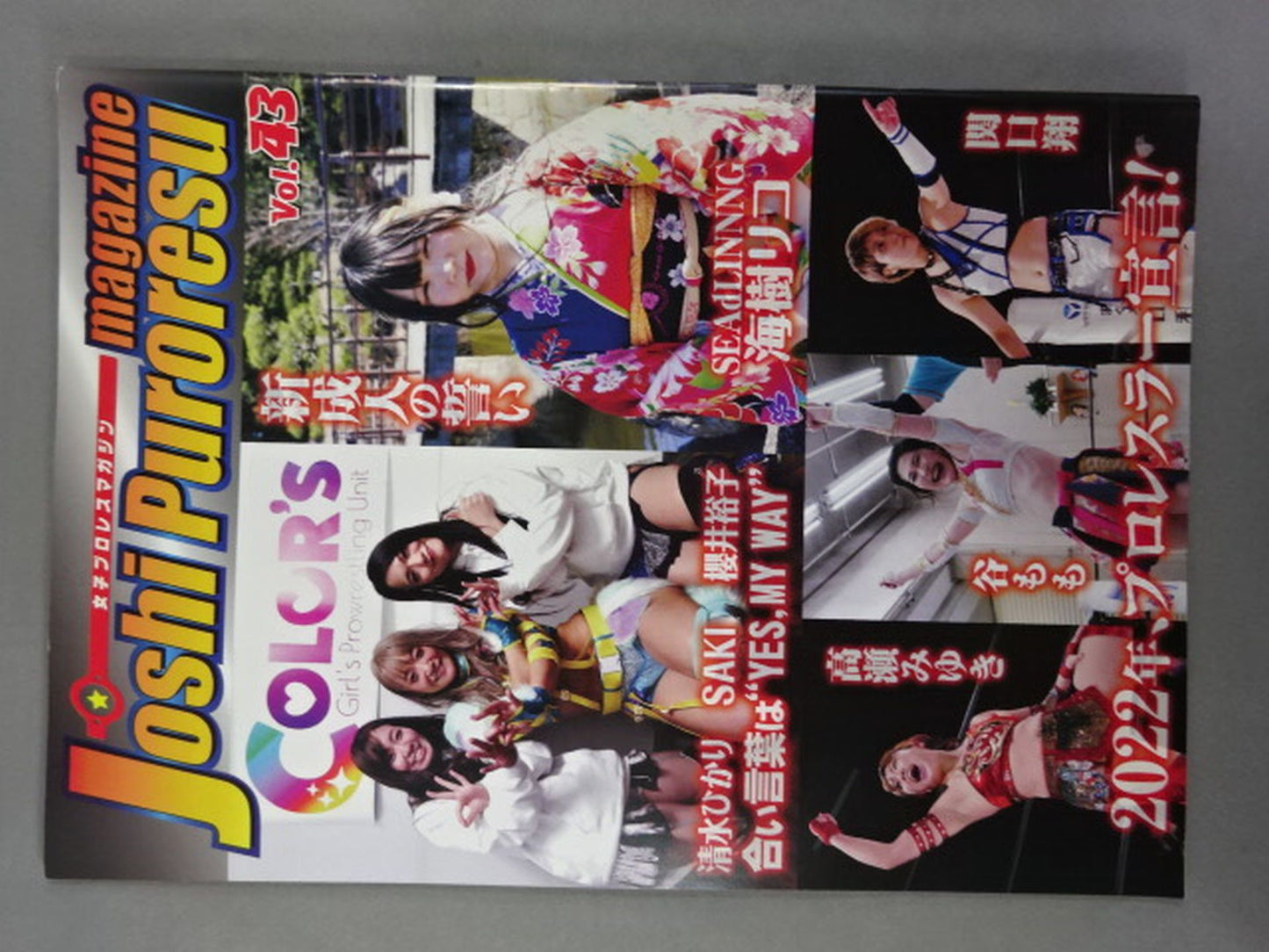 女子プロレスマガジン Vol.43