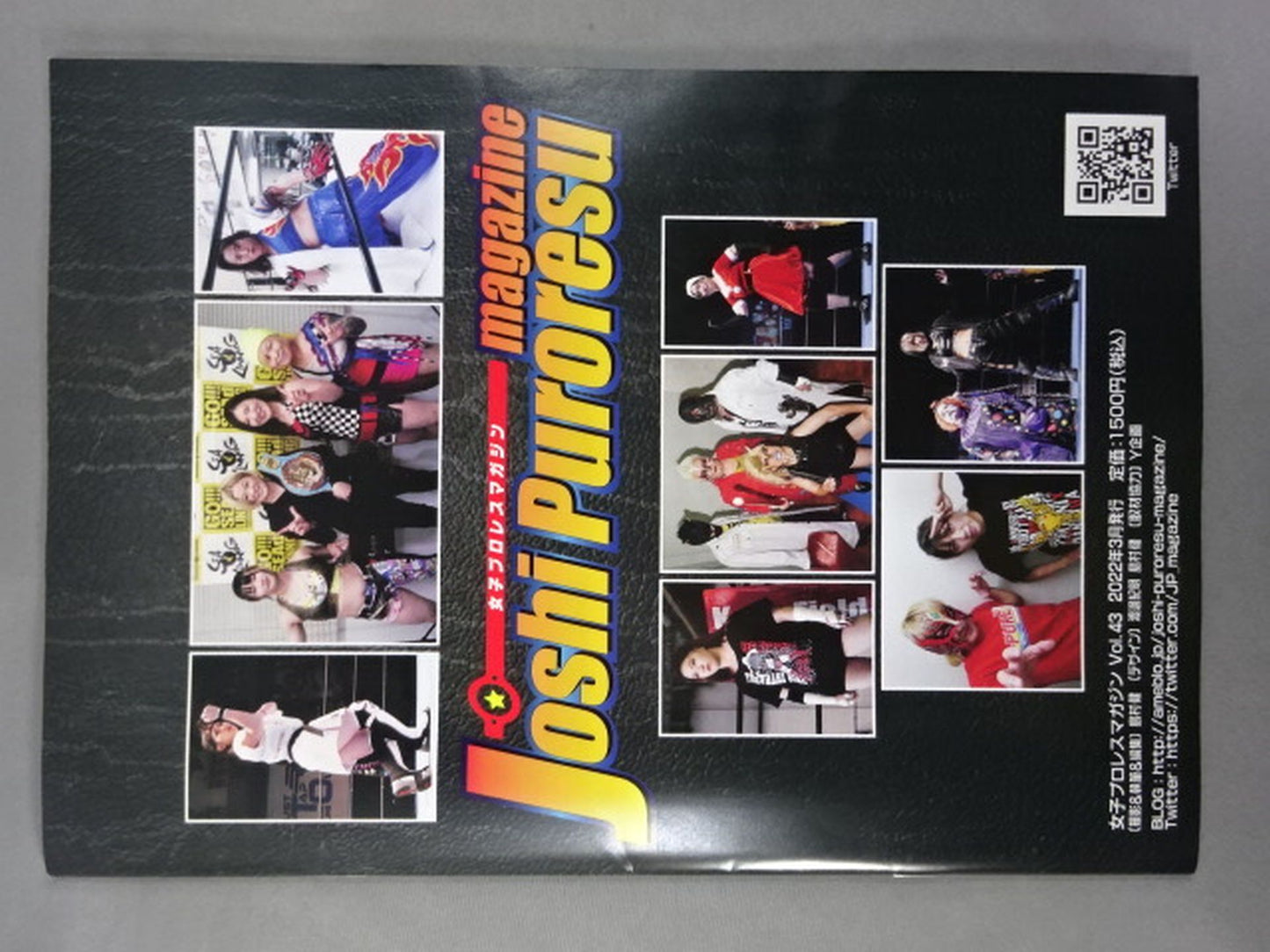 女子プロレスマガジン Vol.43