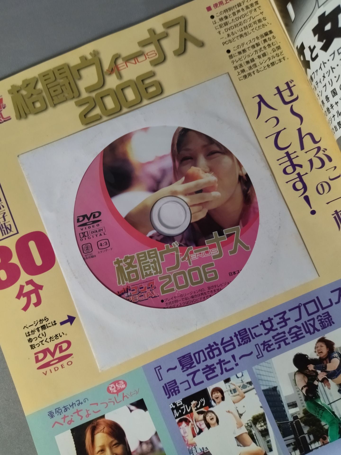 レディースゴング スペシャル 格闘ヴィーナス 2006