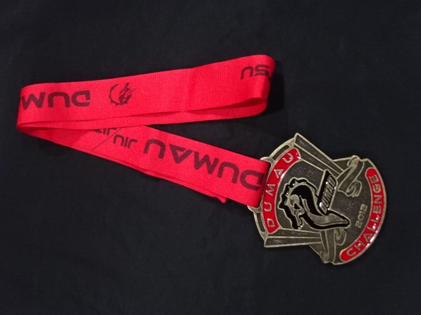 DUMAU PRO CHALLENGE 2012 銅メダル