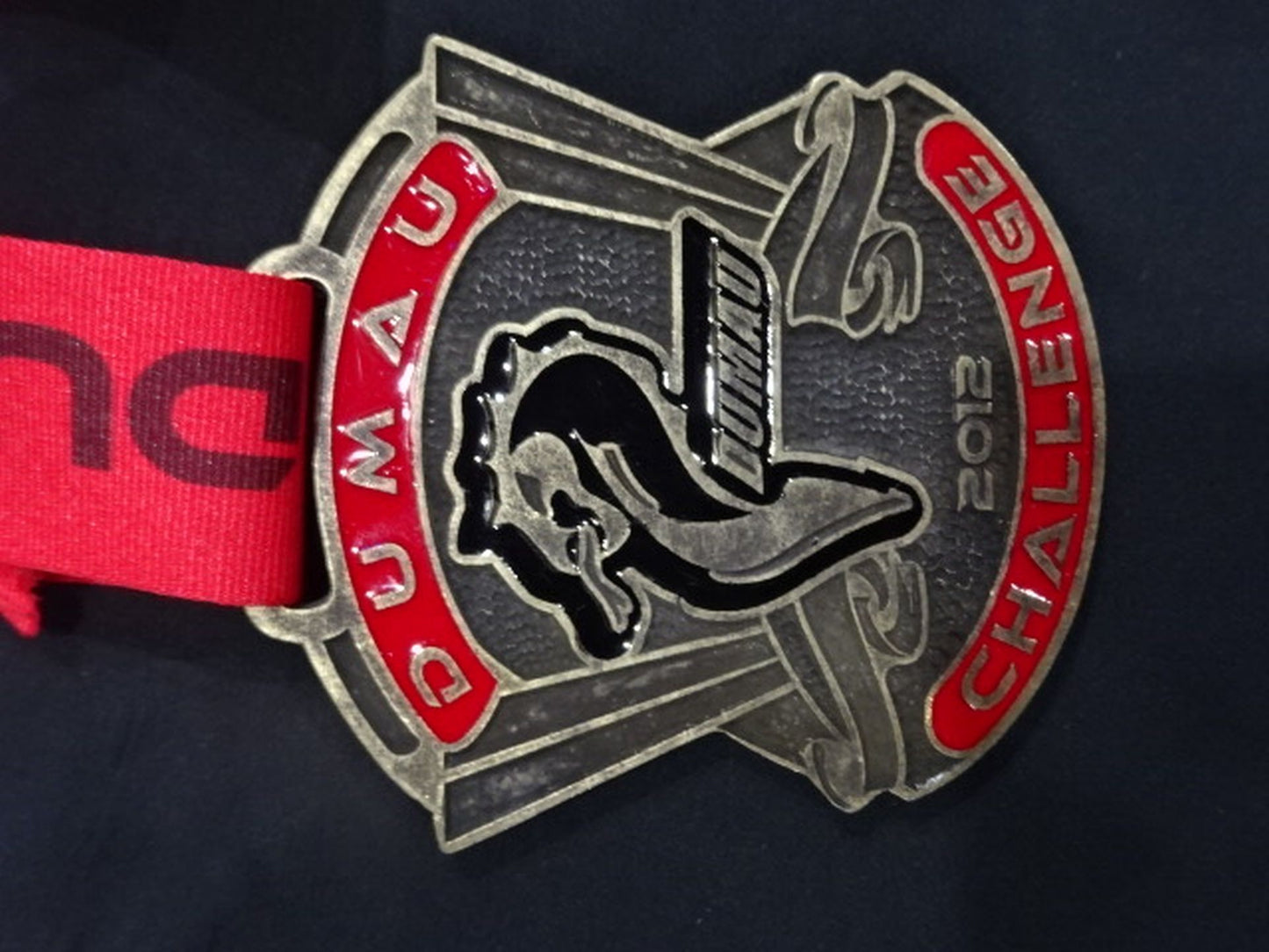 DUMAU PRO CHALLENGE 2012 銅メダル