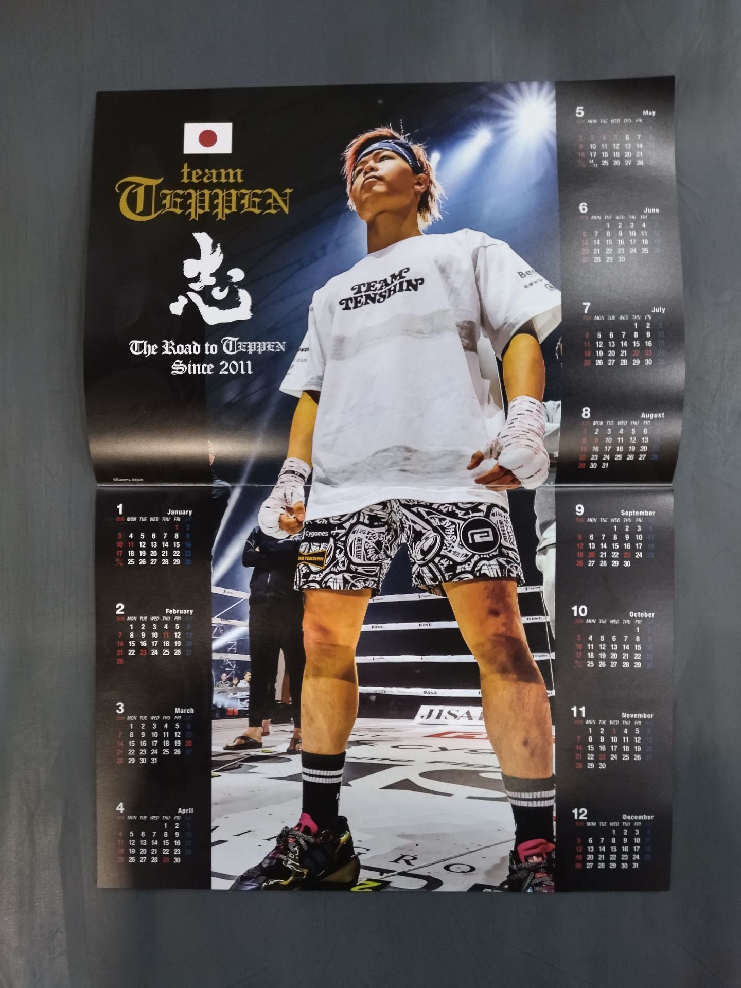 Tenshin Nasukawa 2021 calendar