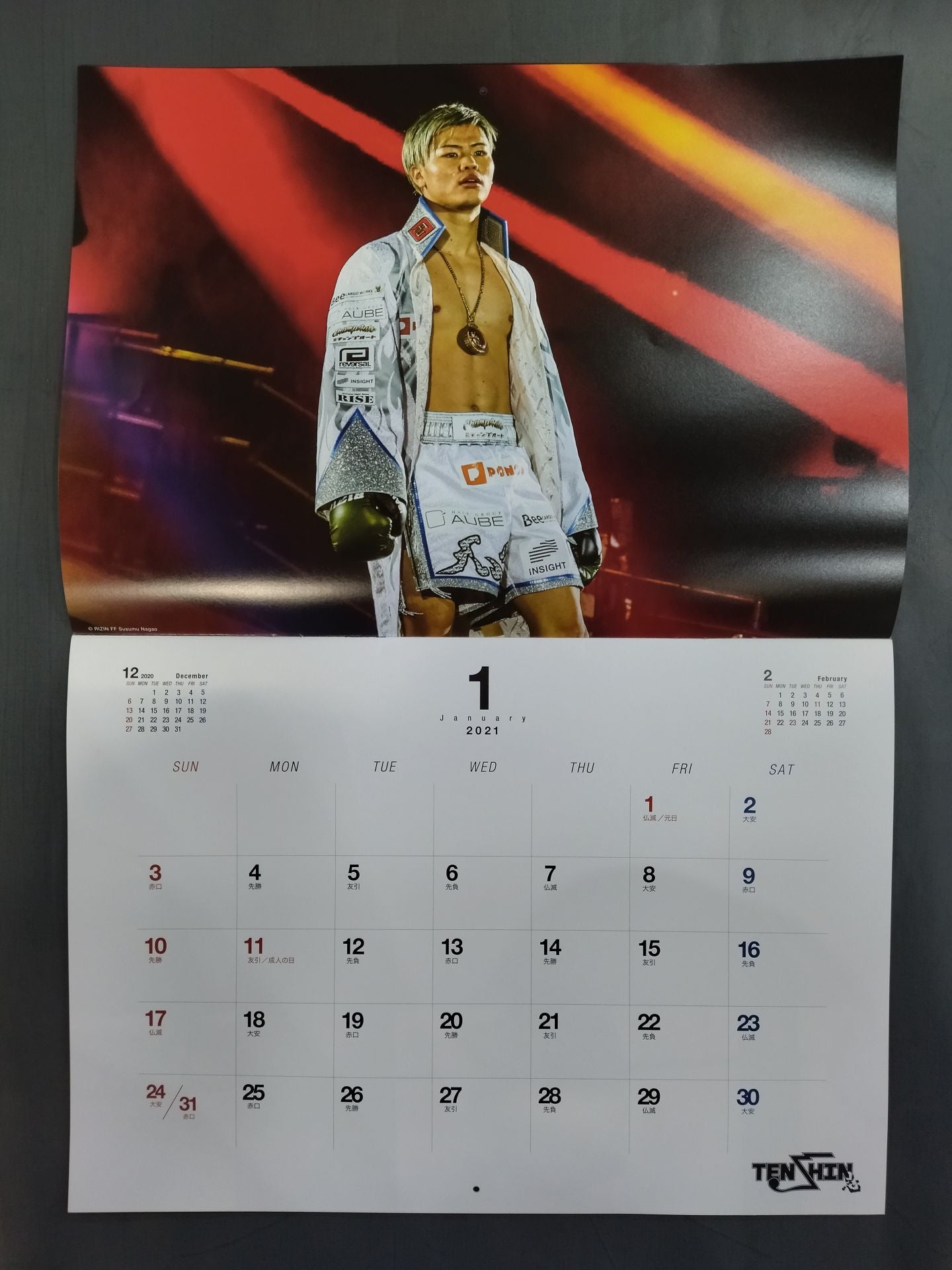 Tenshin Nasukawa 2021 calendar