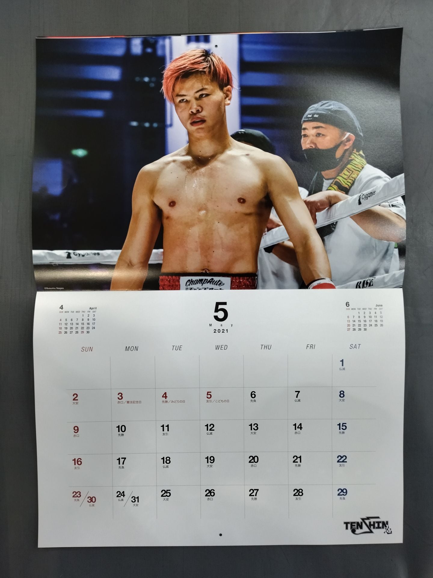 Tenshin Nasukawa 2021 calendar