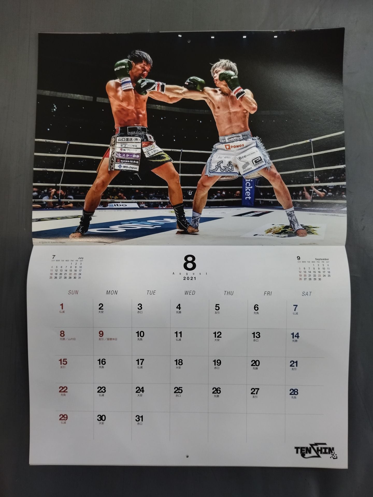 Tenshin Nasukawa 2021 calendar