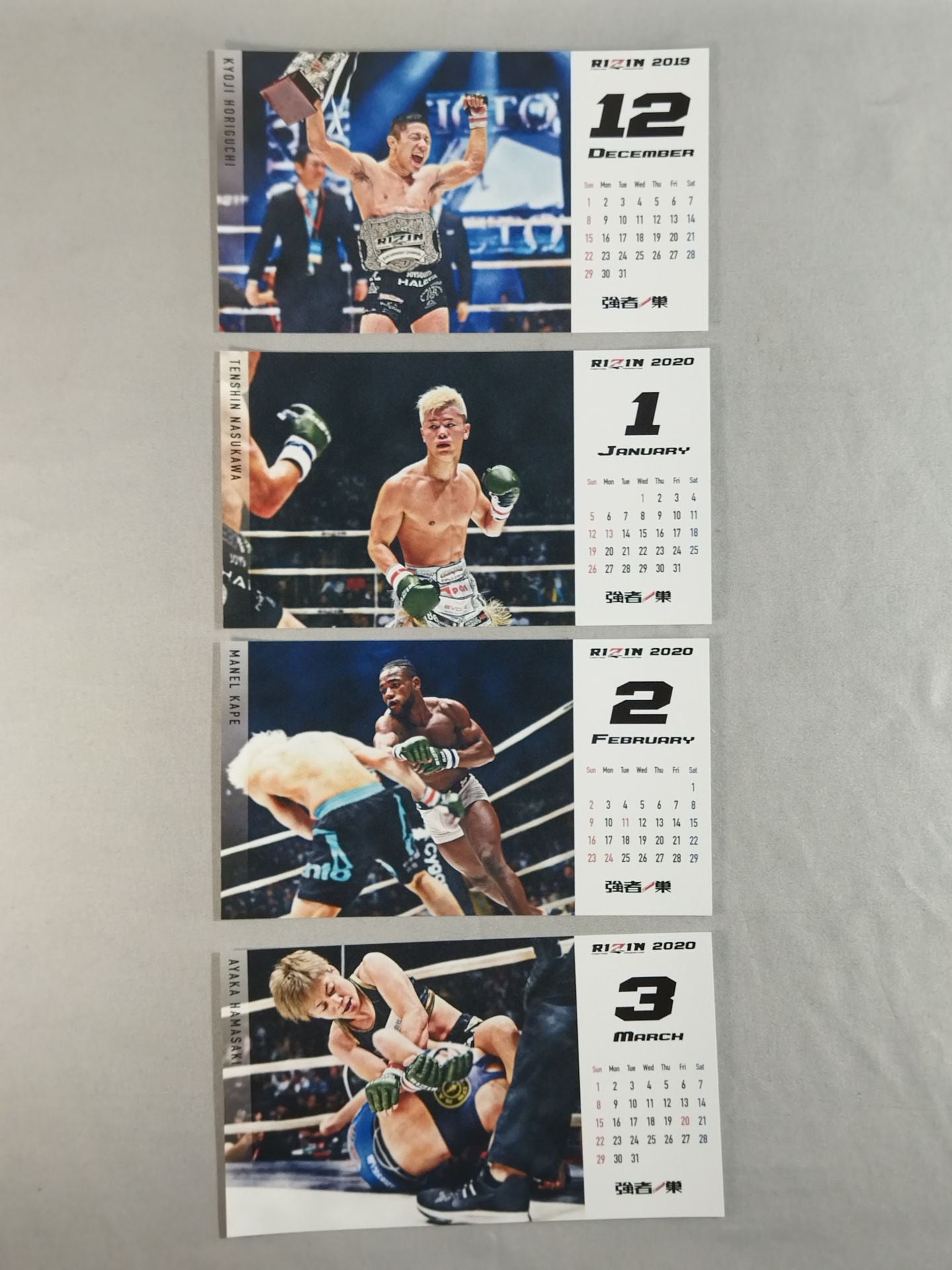 RIZIN 2019-2020 Desk Calendar