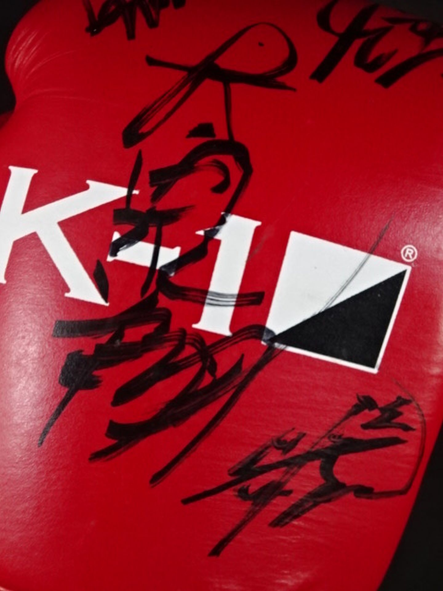 ★10 fighters hand signed autograph ★ K-1 Training Gloves