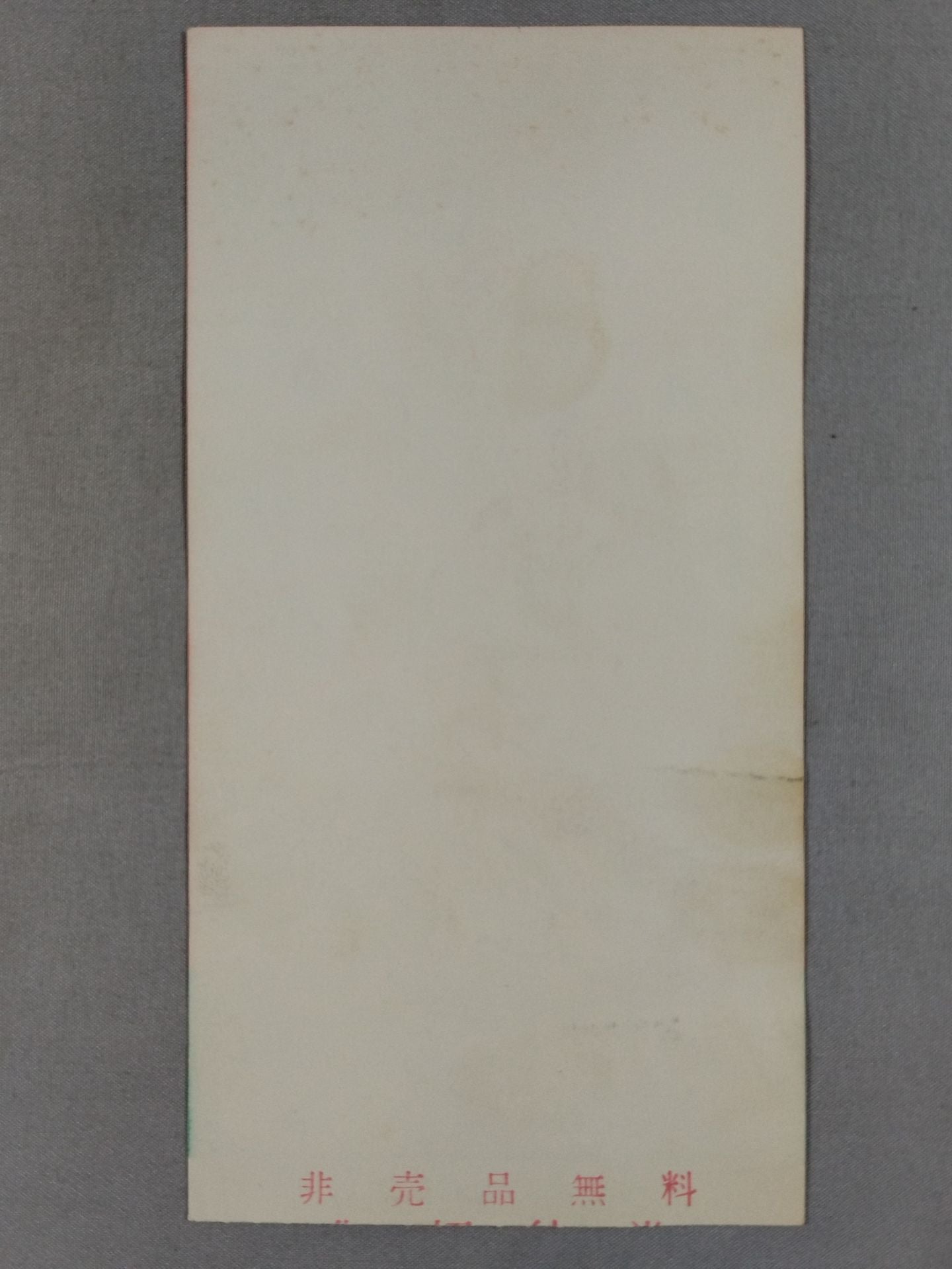 マーシャルアーツ 全日本新人戦