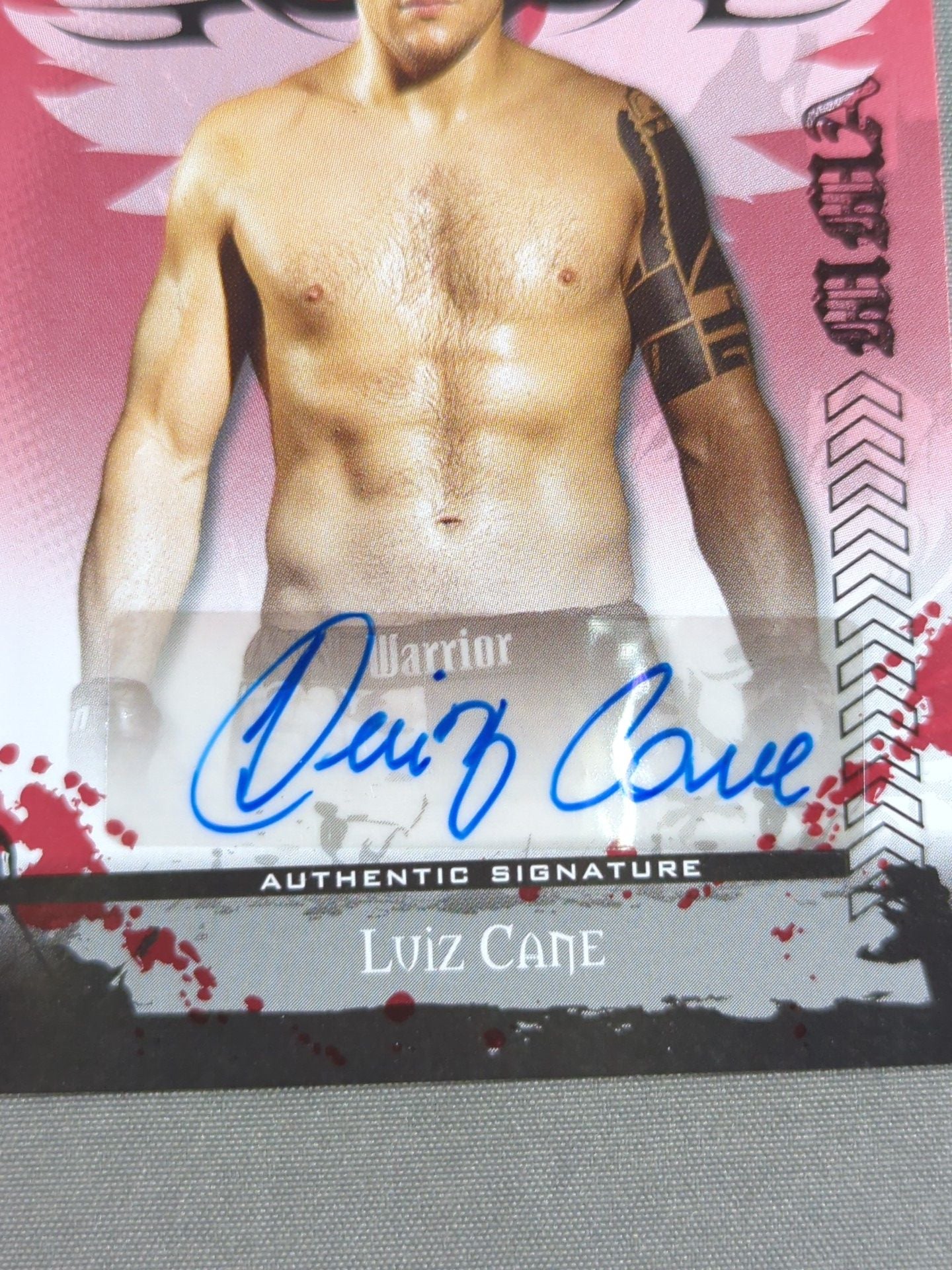 2010 Leaf ルイス・カーニ 公式サインカード