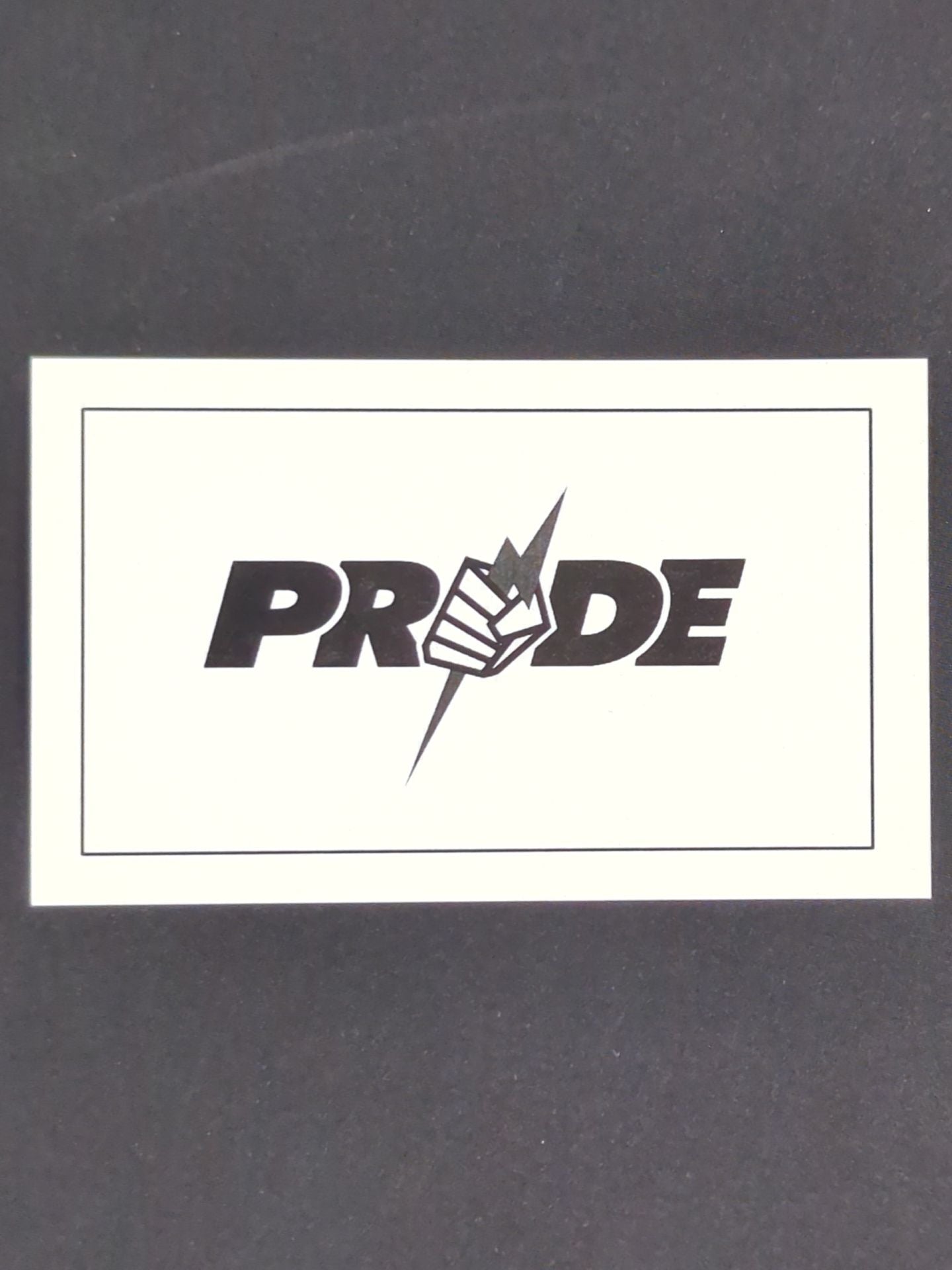 ★PRIDE×Karshr★ Gloves Silver Necklace