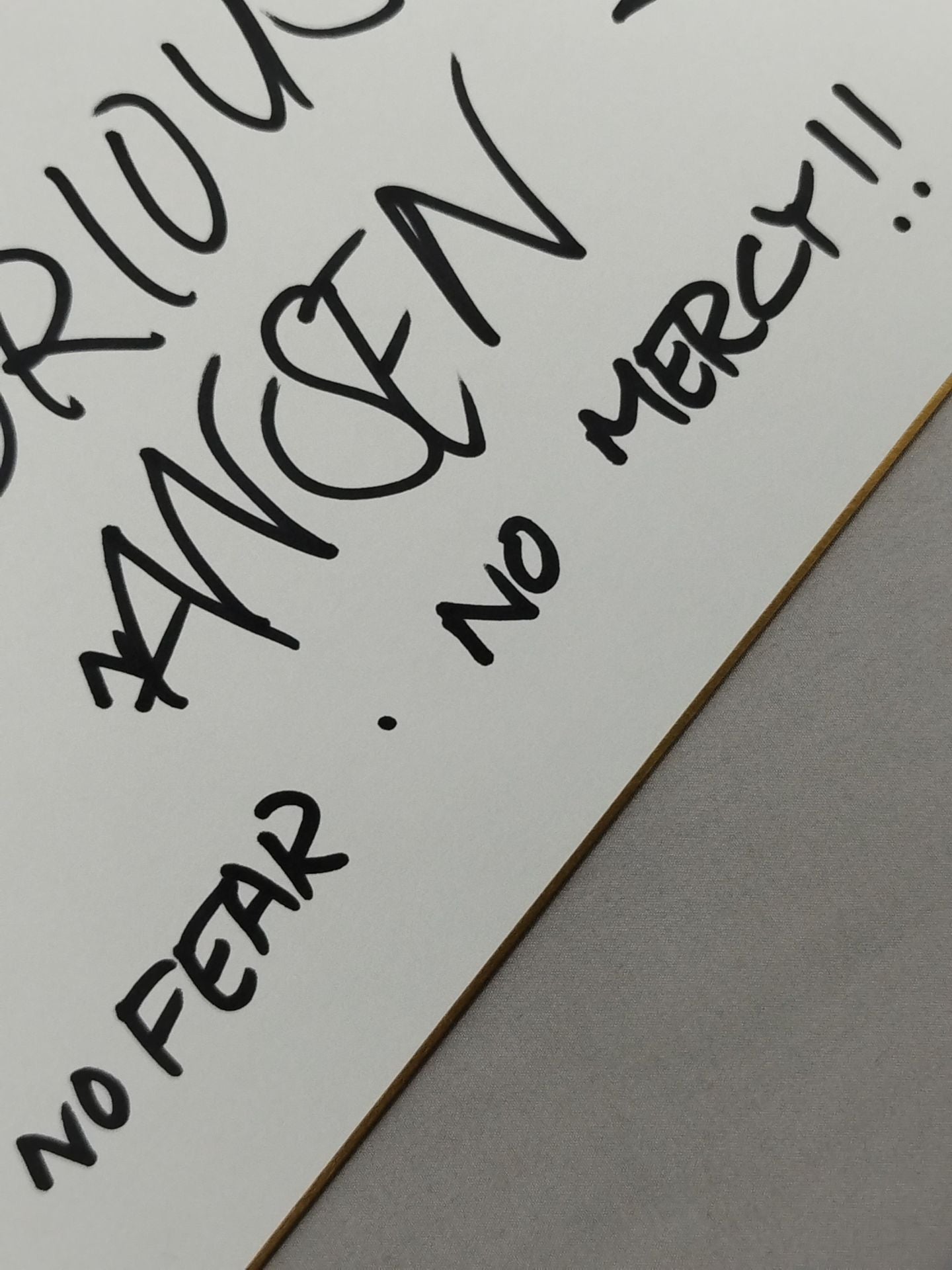 アンズ・“ノトリアス”・ナンセン