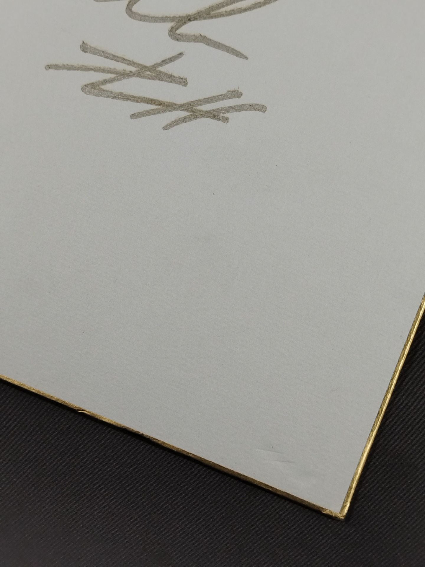 ダン・ホーンバックル(金字)