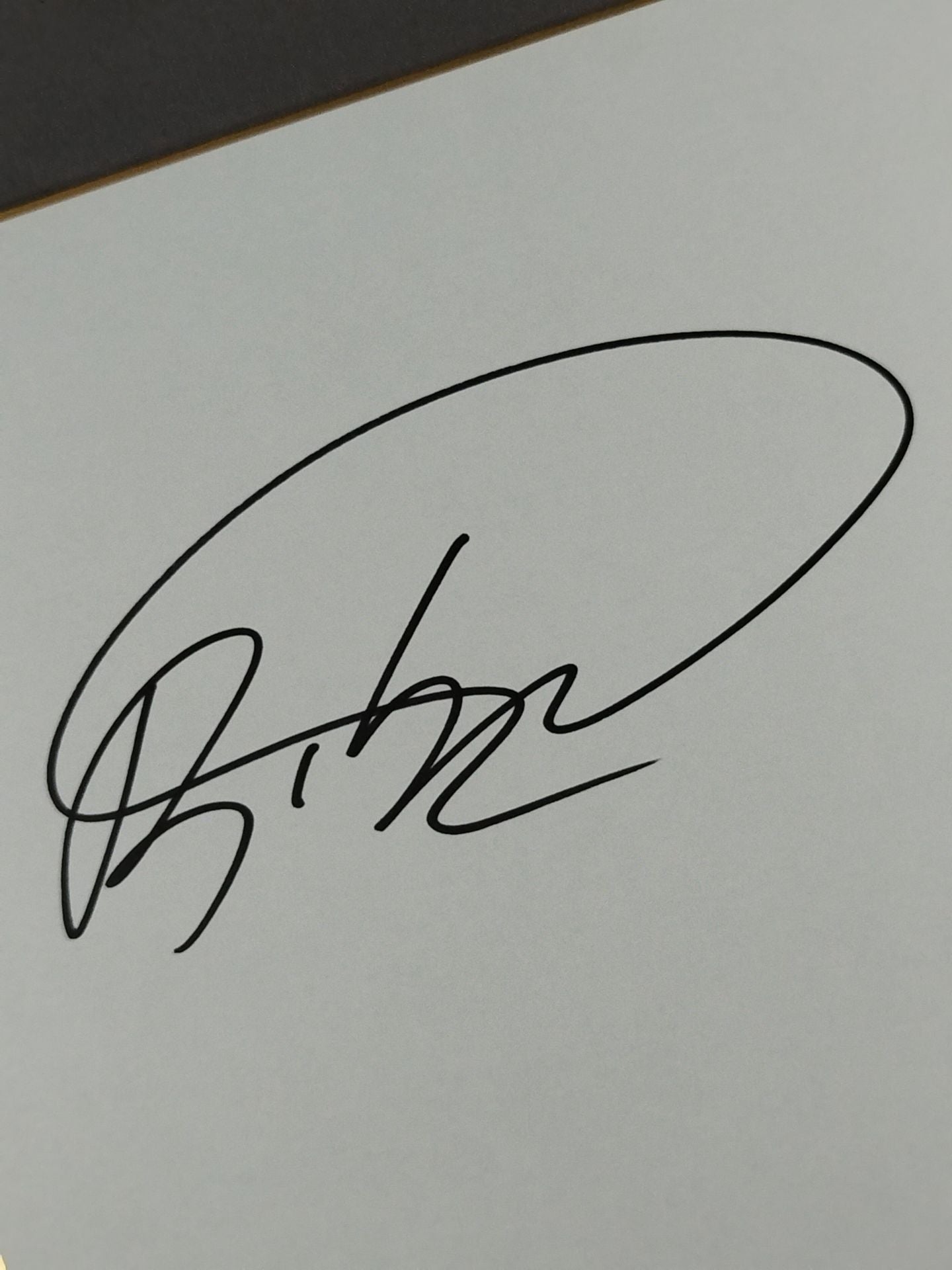 ビビアーノ・フェルナンデス