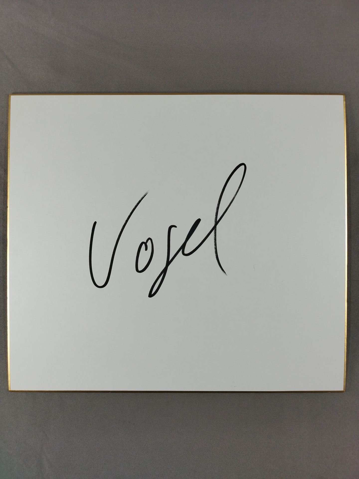 Mark Vogel
