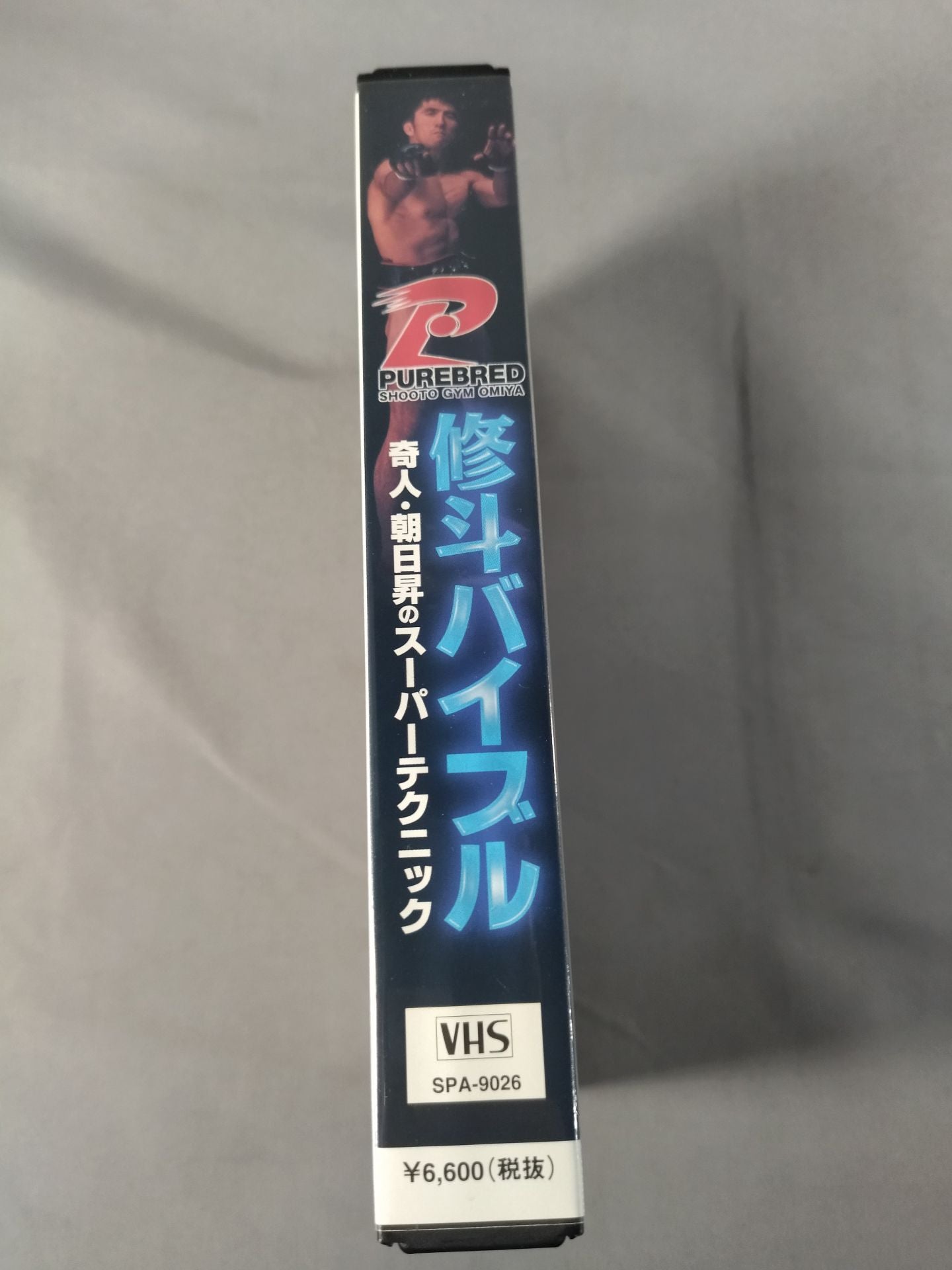 修斗バイブル 奇人・朝日昇のスーパーテクニック