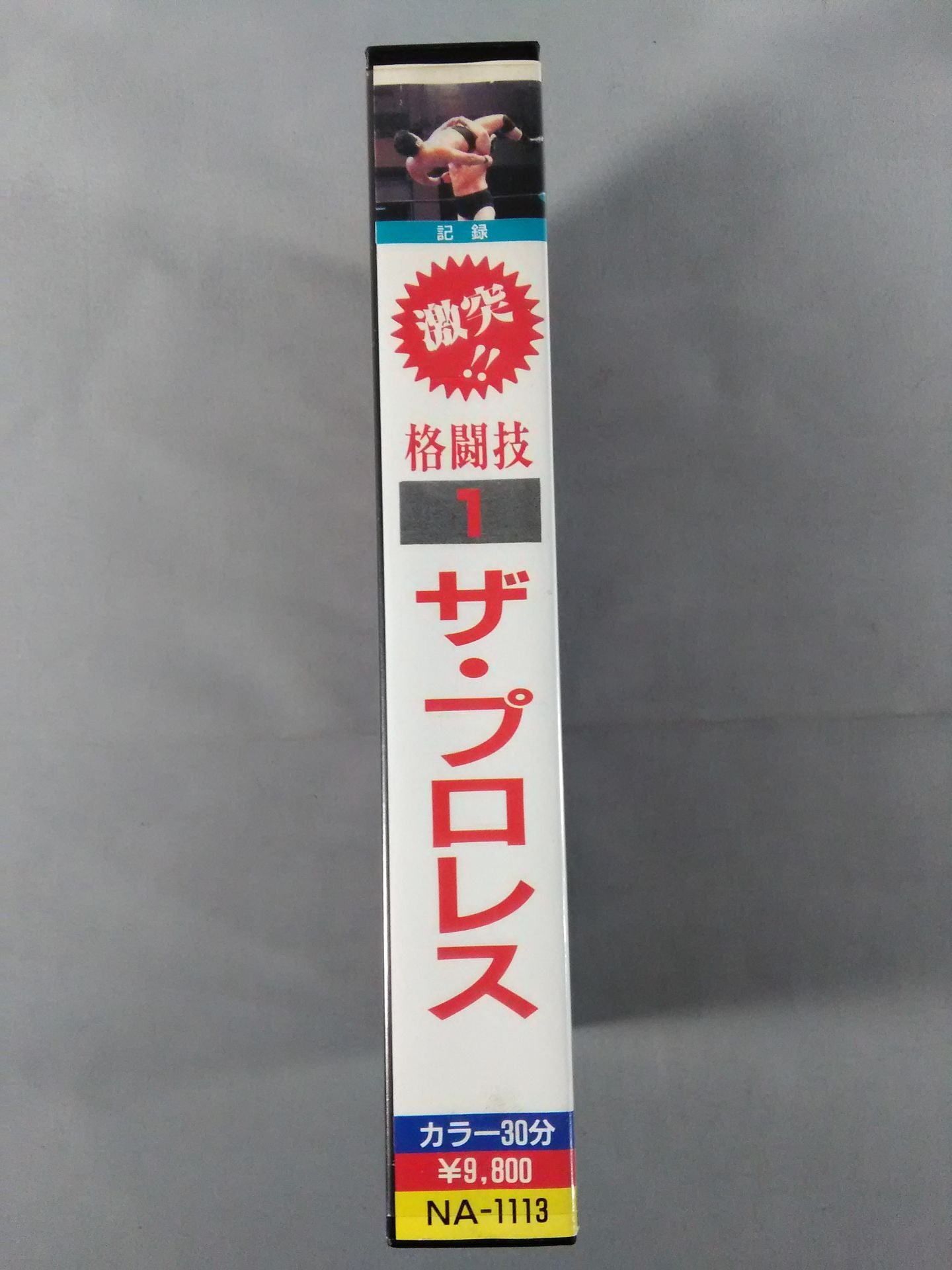 激突!!格闘技1 ザ・プロレス