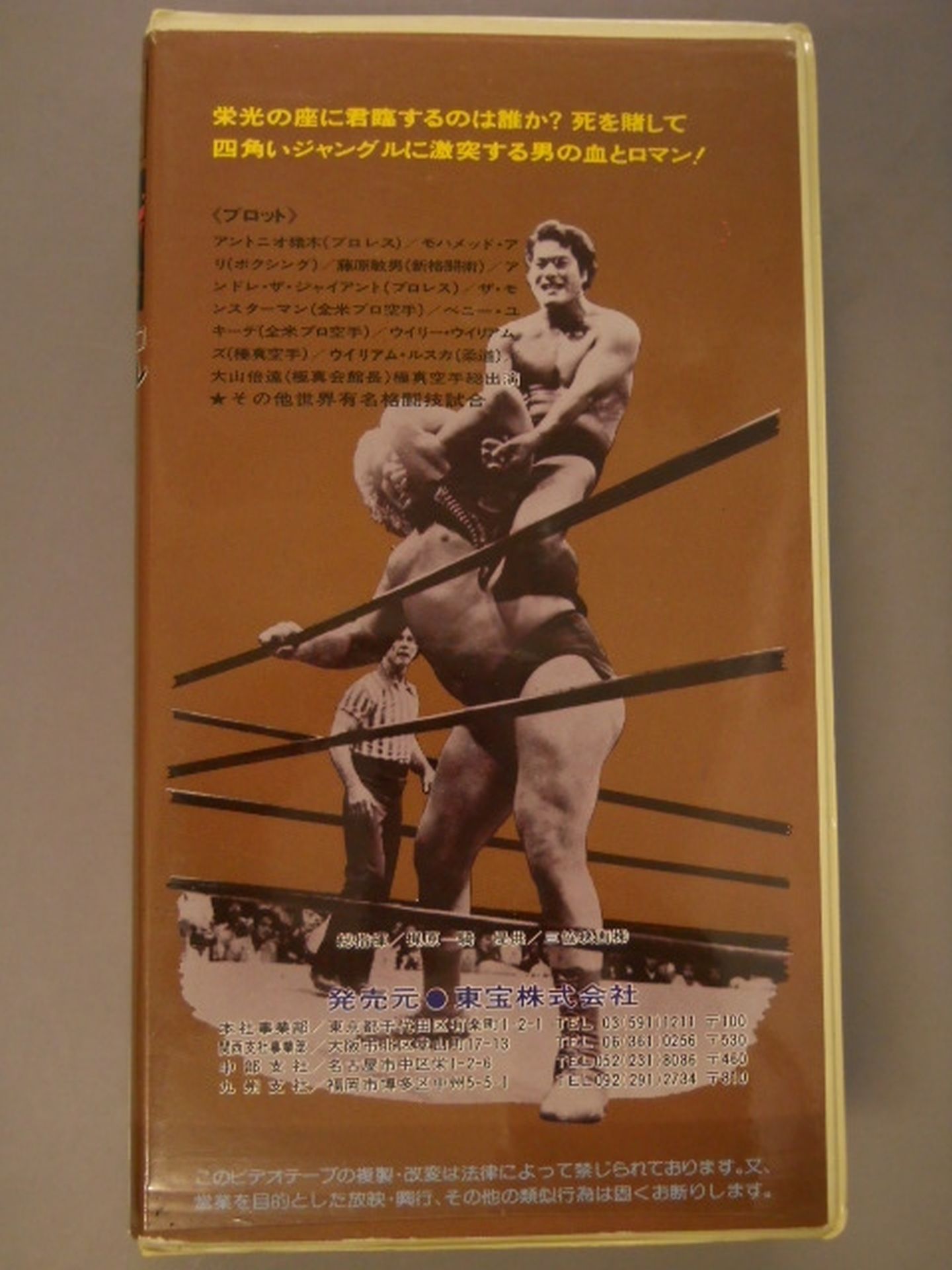 Square Jungle Martial Arts World No. 1 TOHO VIDEO