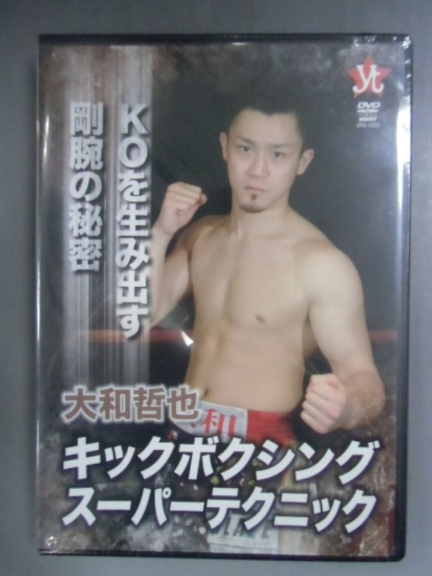 大和哲也 キックボクシングスーパーテクニック