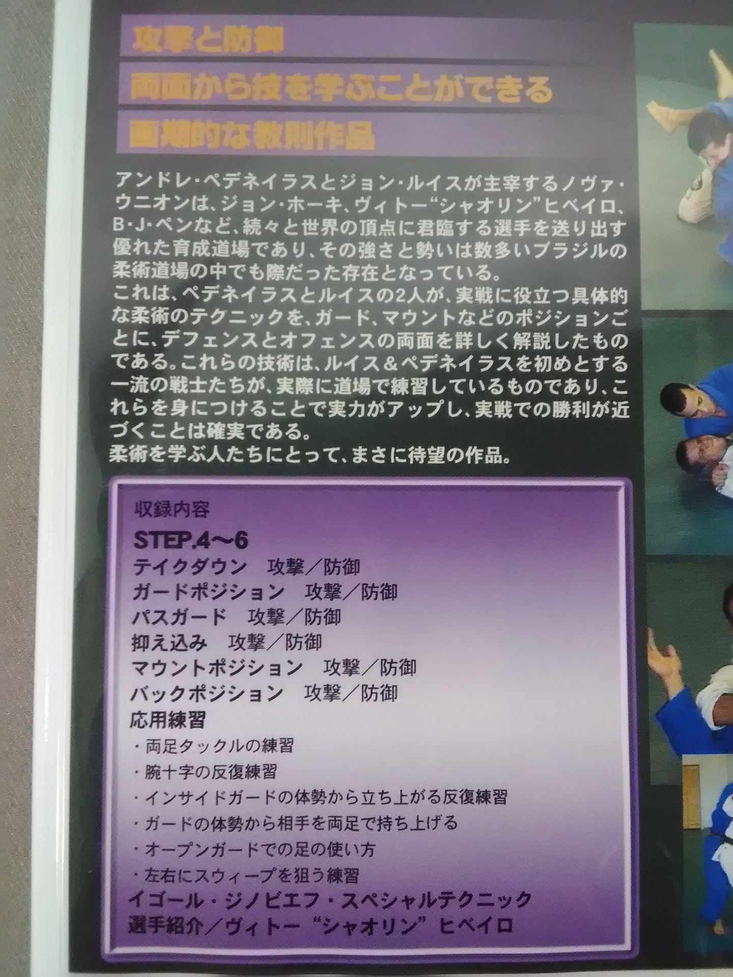 ルイス&ぺデネイラス ノヴァ・ウニオン柔術 下巻