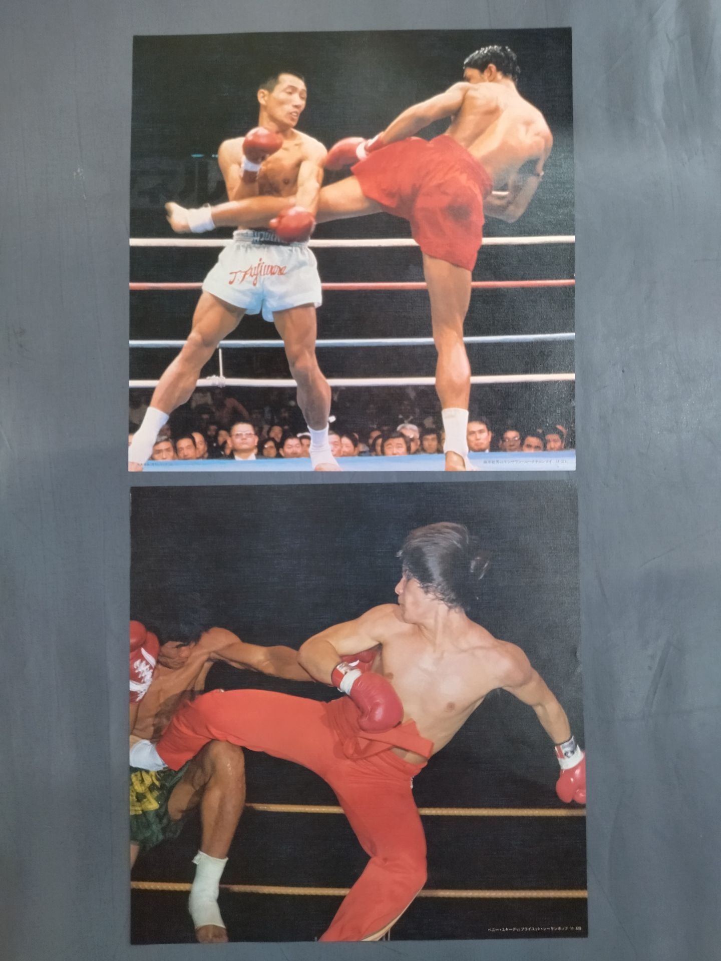 ★ With ★ 6 pin-ups, the best in the martial arts world, square jungle