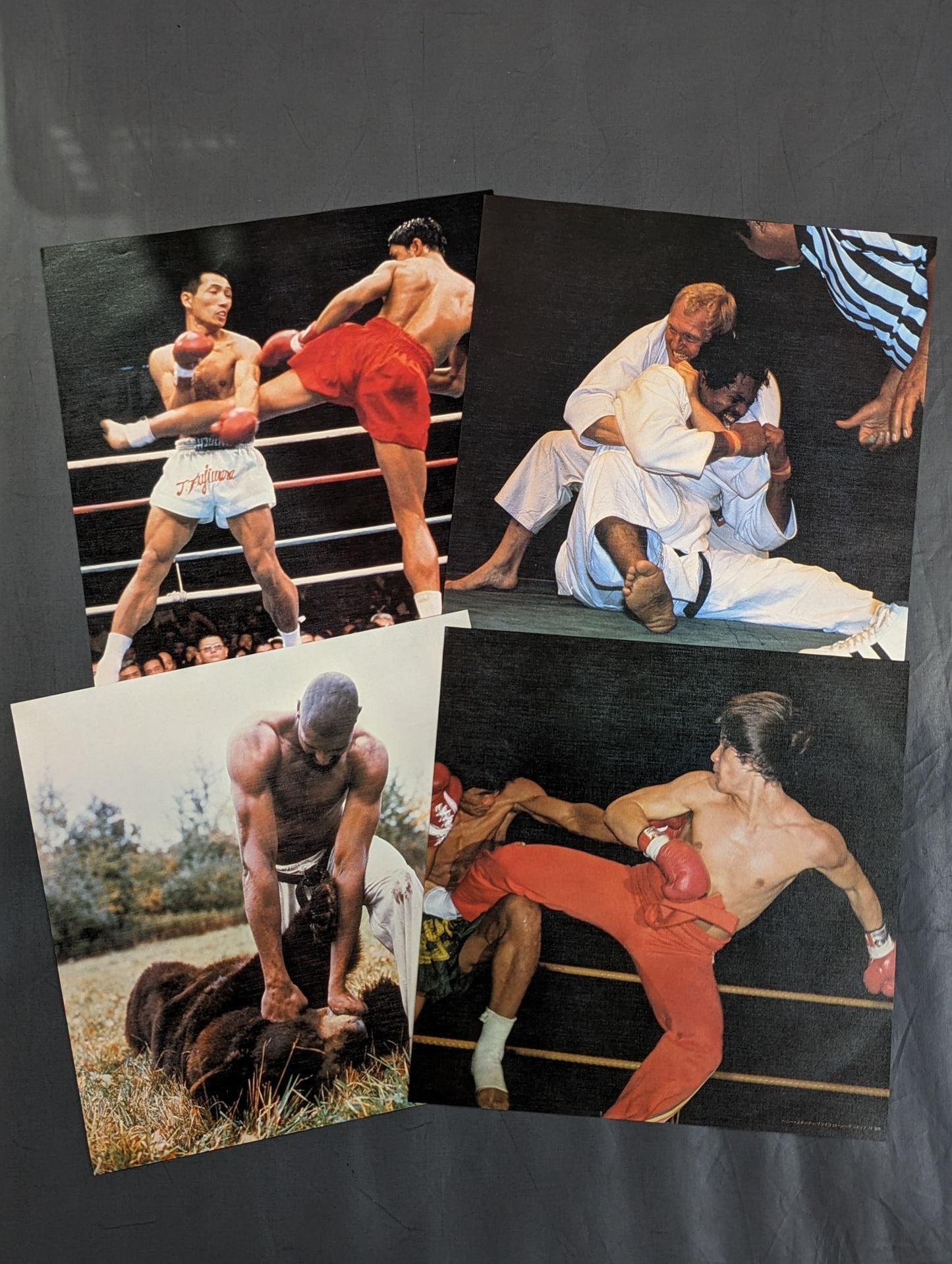 格闘技世界一 四角いジャングル