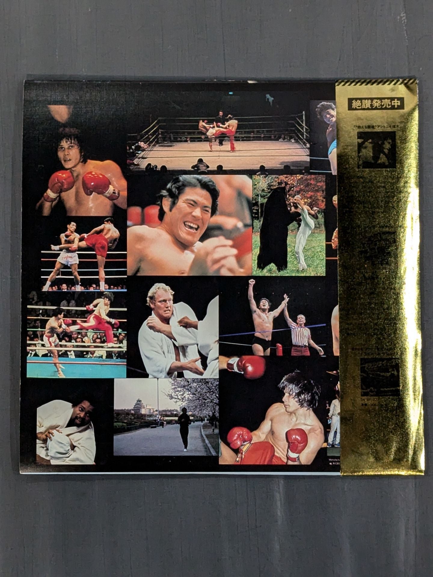 ★ With ★ 6 pin-ups, the best in the martial arts world, square jungle