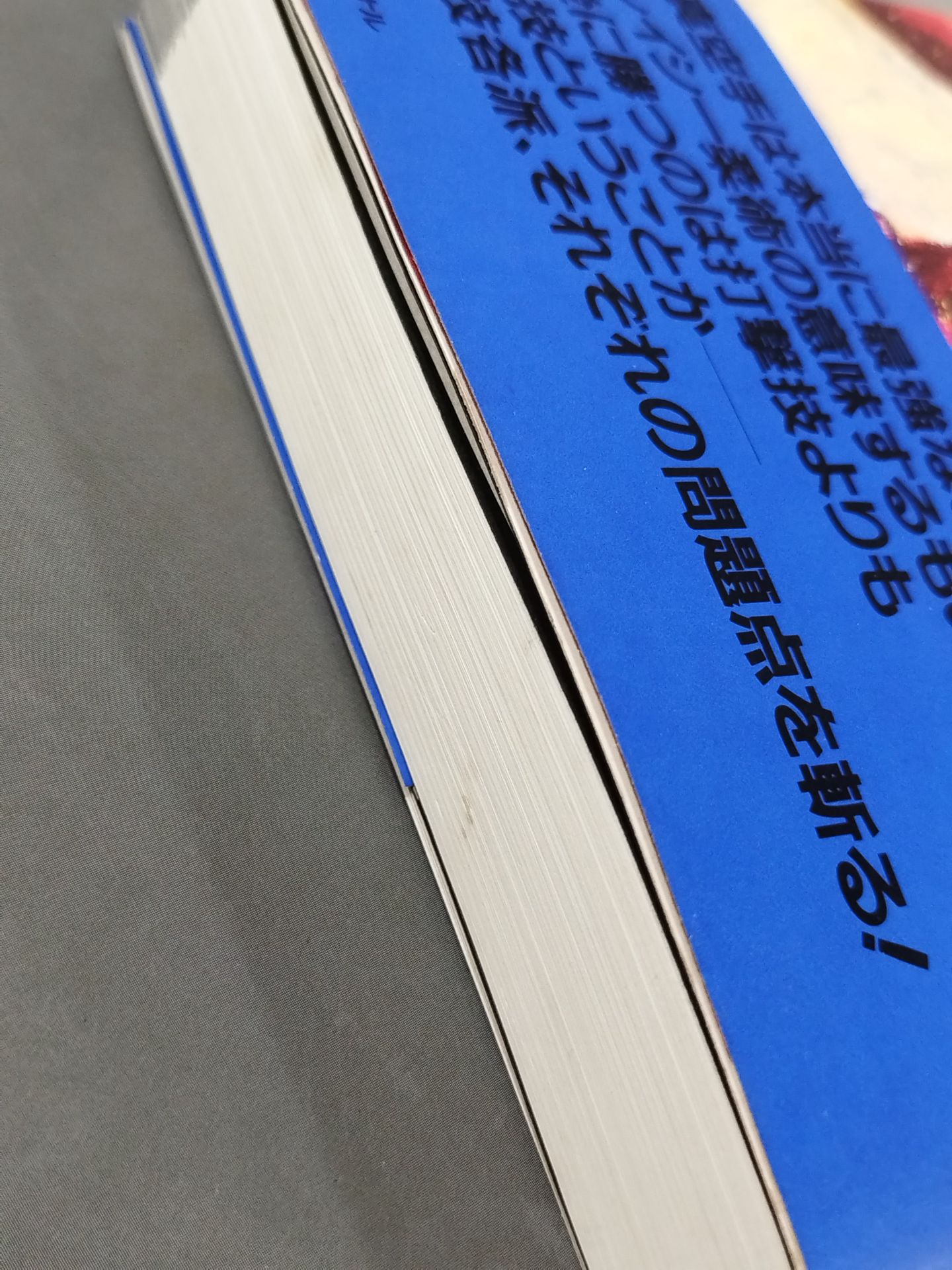 リアルバトロジー2 新世紀格闘技論 熱きサバイバルウォーズのゆくえ